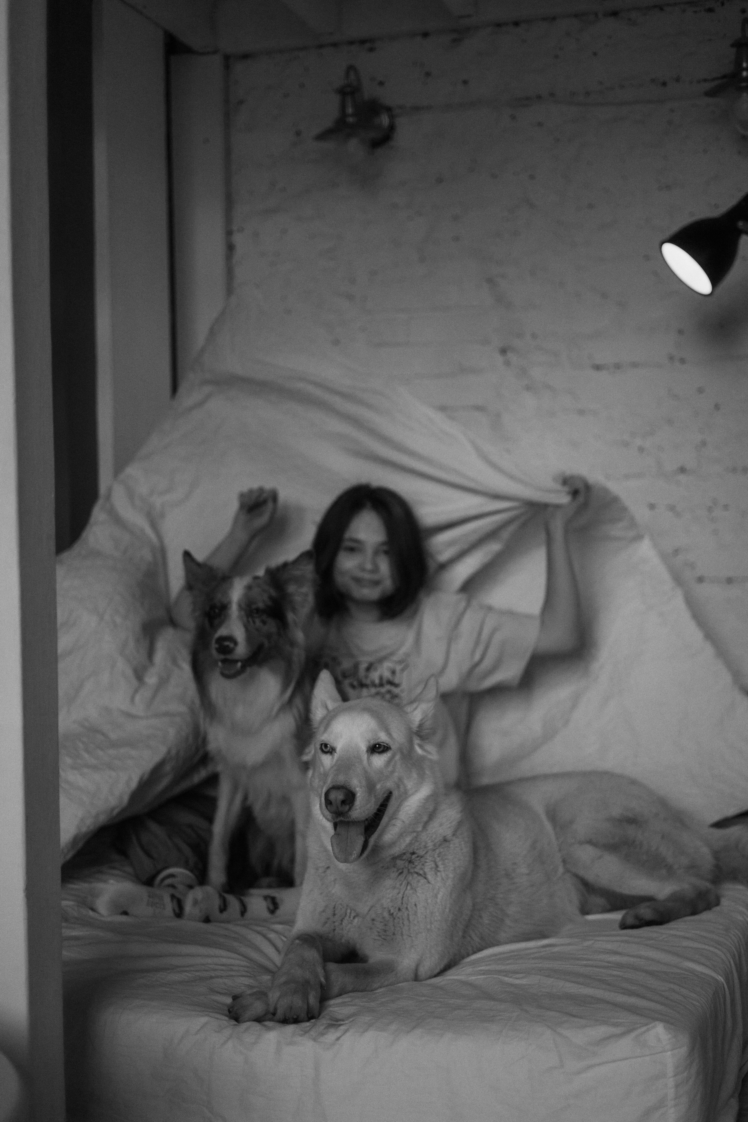 Аня, Дэймон и Грэй. Фотограф-анималист Богданова Полина