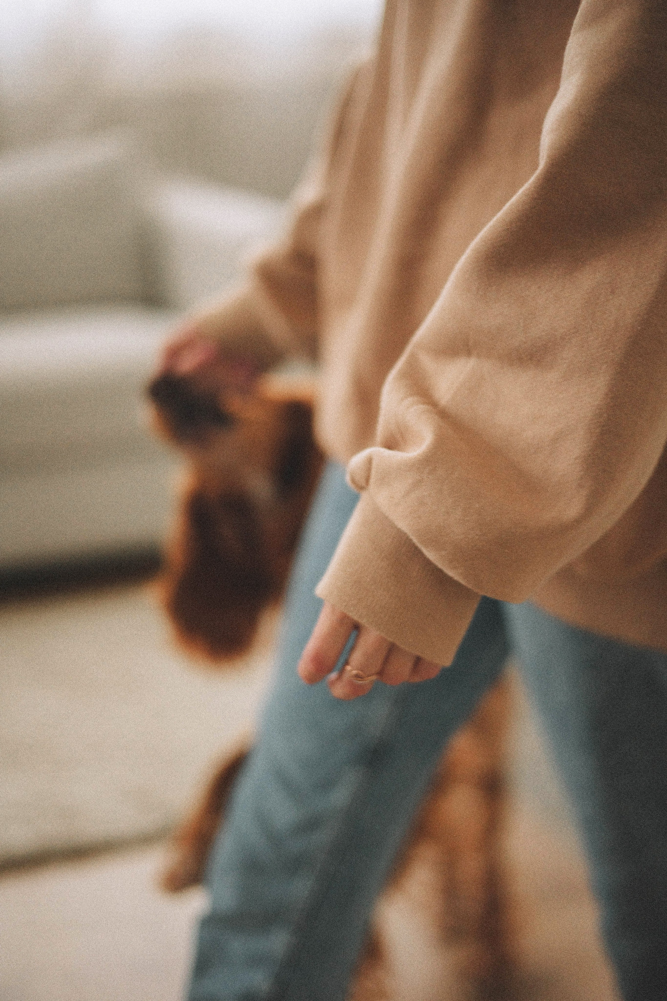 Алина и Дженни. Фотограф-анималист Богданова Полина