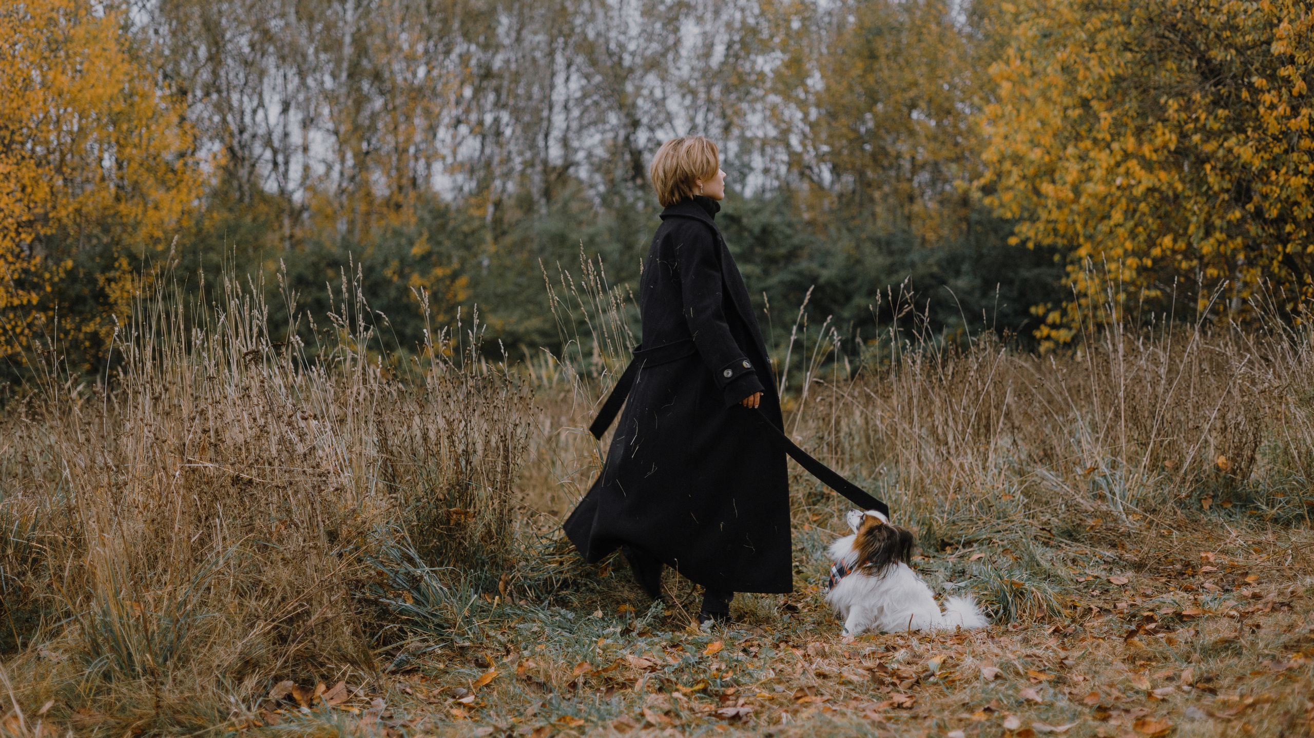 Маша, Катя, Астрид и Мася. Фотограф-анималист Богданова Полина