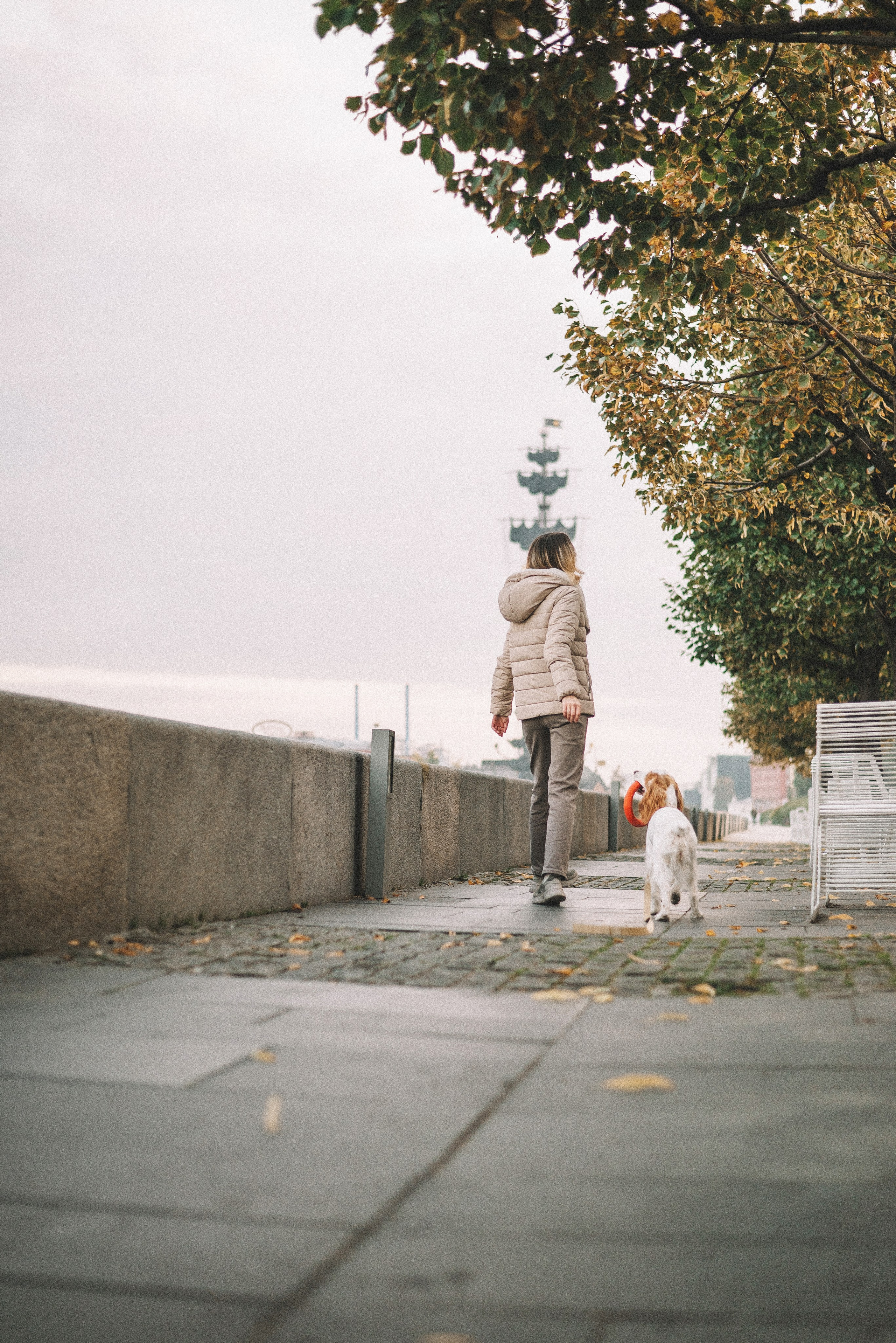 Маша и Вега. Фотограф-анималист Богданова Полина