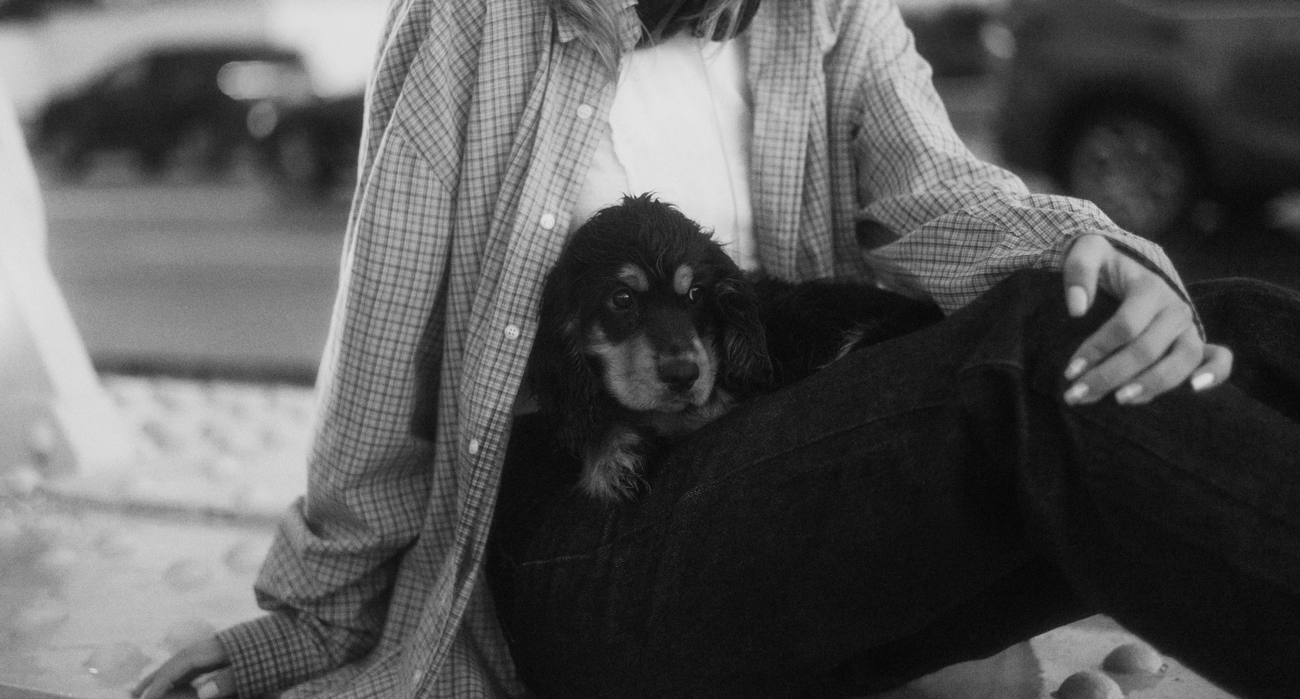 Аня и Ривер. Фотограф-анималист Богданова Полина