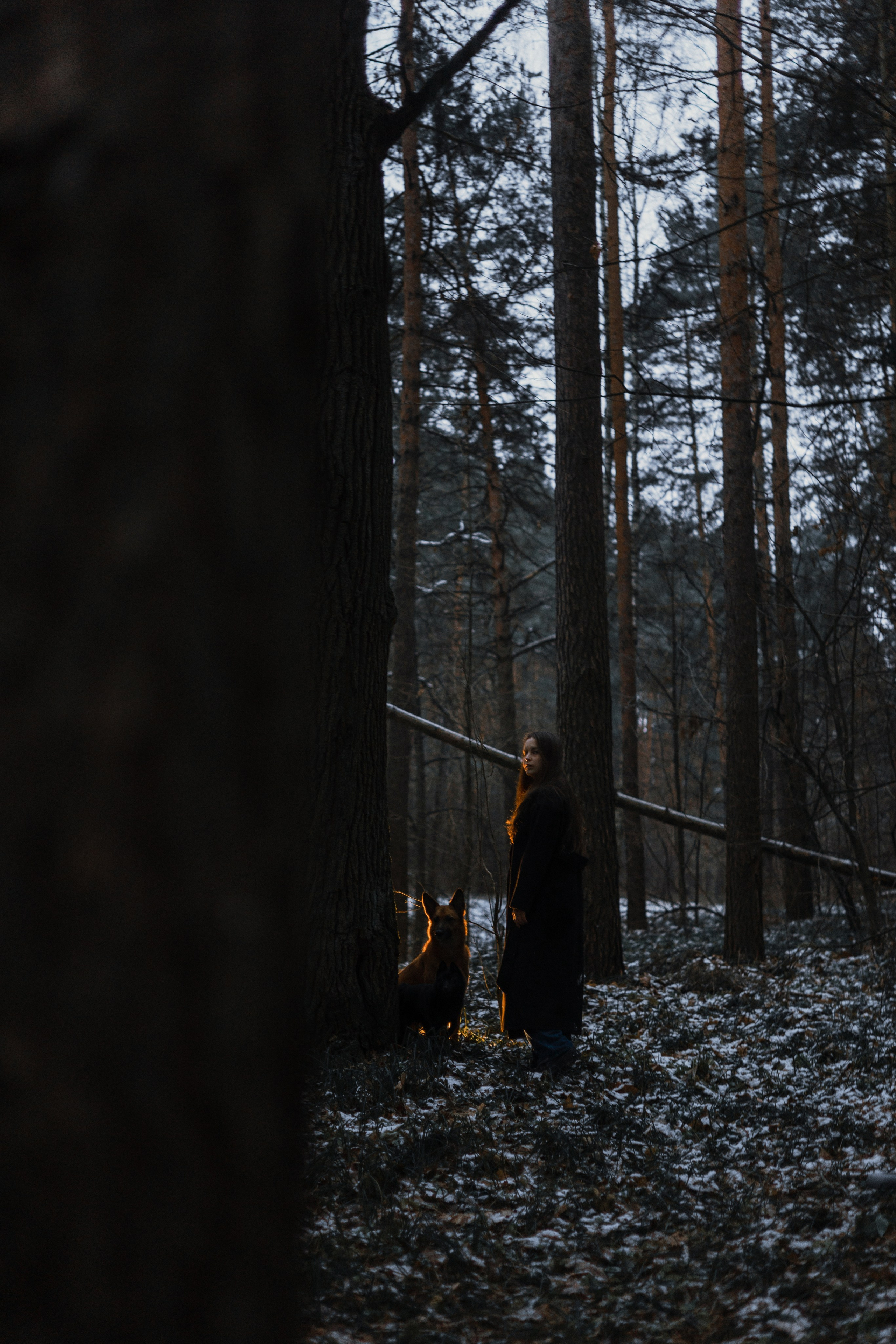 Юля, Лара и Йоми. Фотограф-анималист Богданова Полина