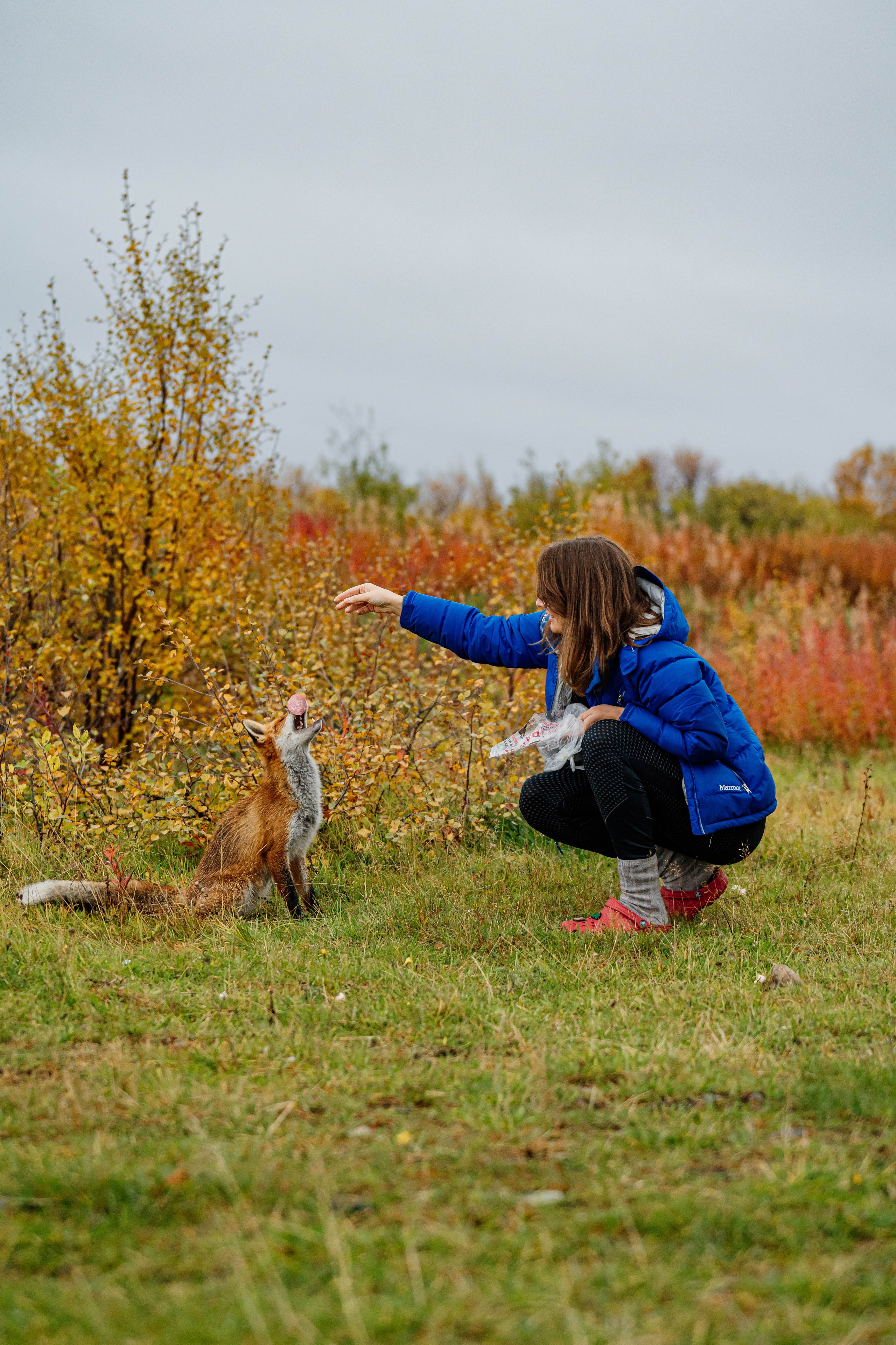 СЕВЕР. Event фотограф Степанова Александра