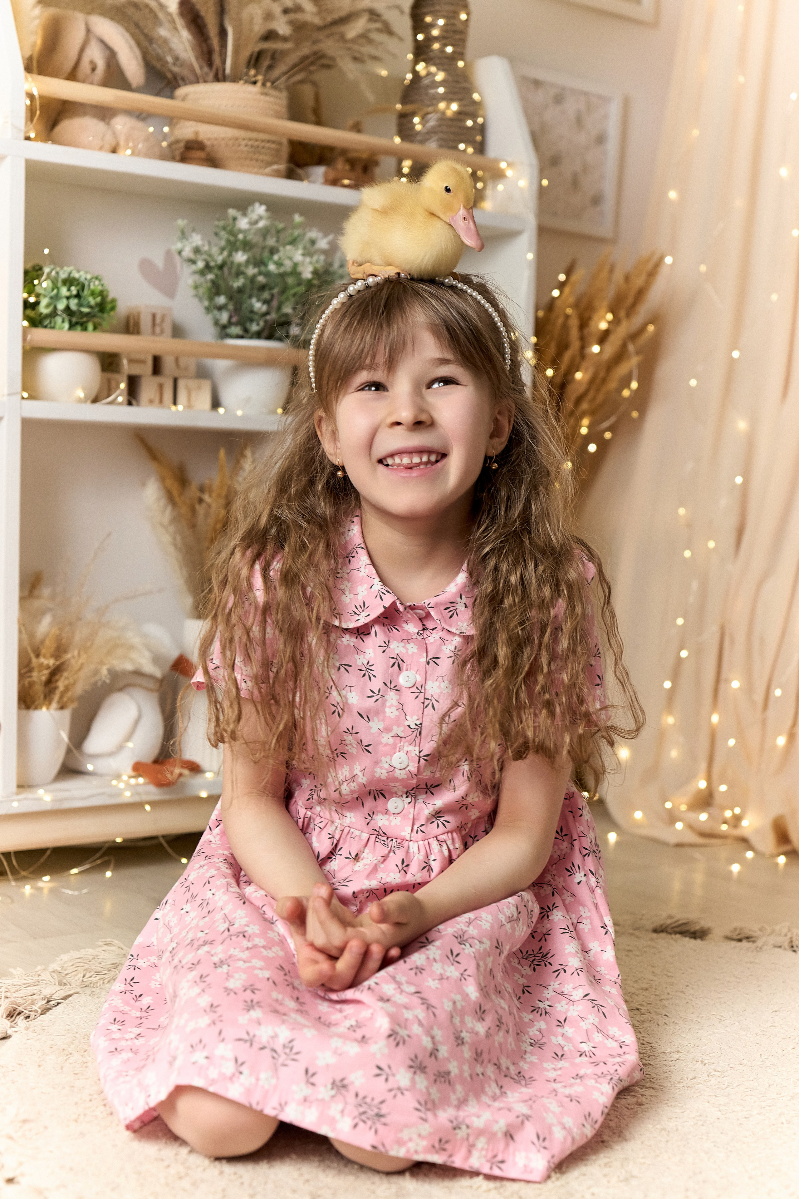 Съемка с животными. Краснодар