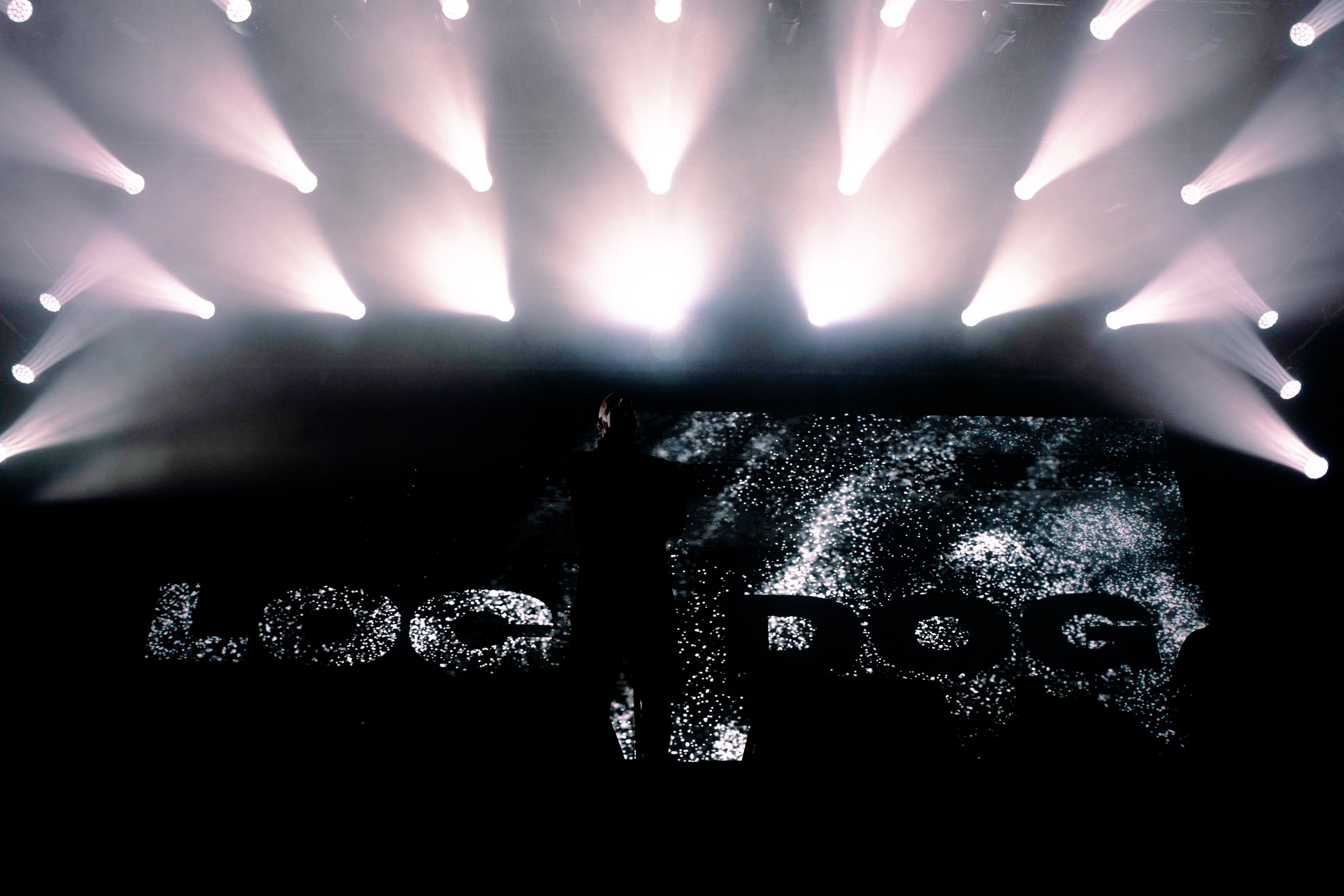 LOC-DOG. Фотограф Москва