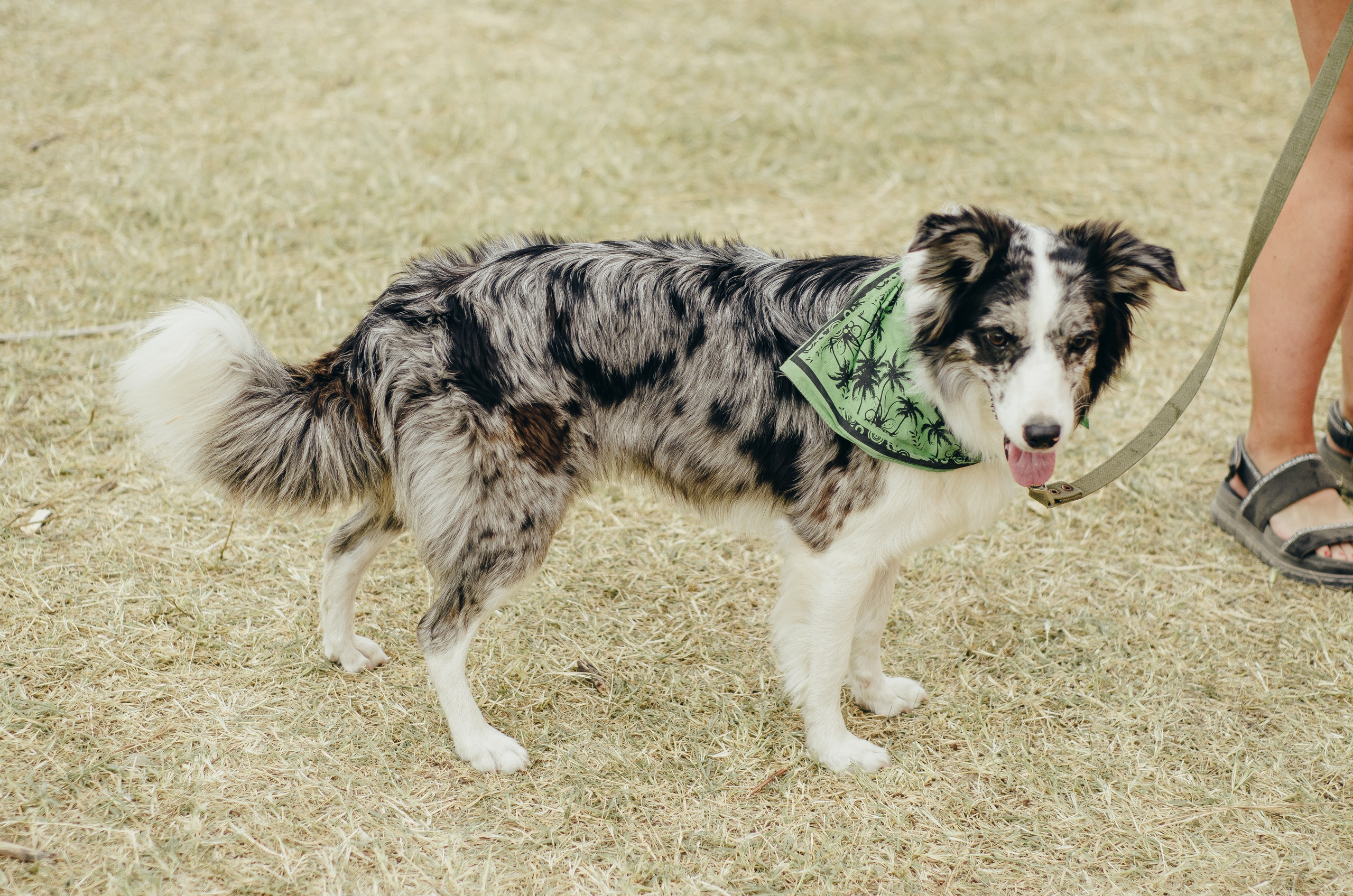 Музыкальный фестиваль Sun Spirit 2020. Фотограф Антон Катунин | Симферополь