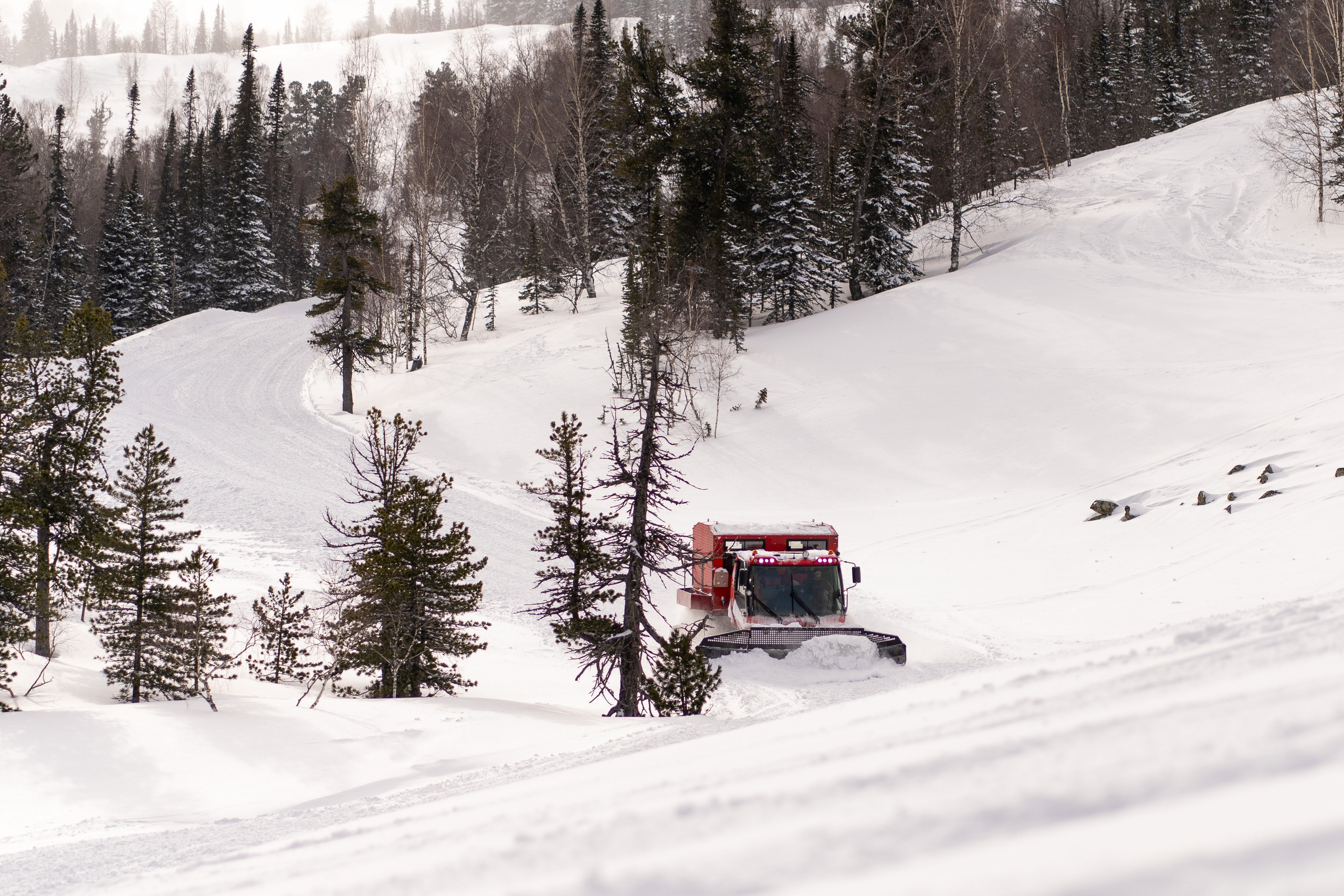 Фрирайд. Анастасия Паршукова — фотограф Шерегеш Новосибирск