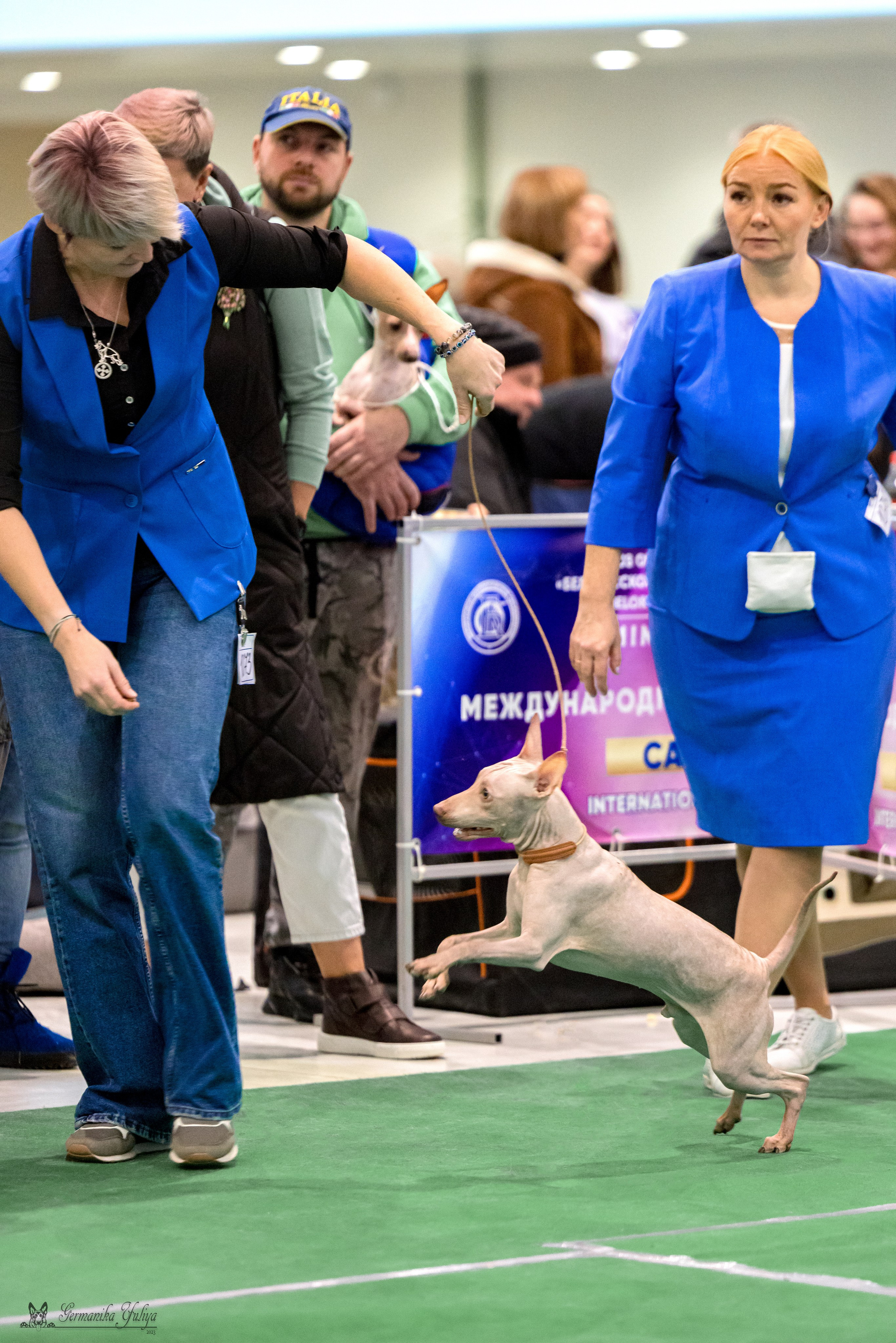 Минск 25-26.11.2023. Фотограф-анималист Юлия Германика