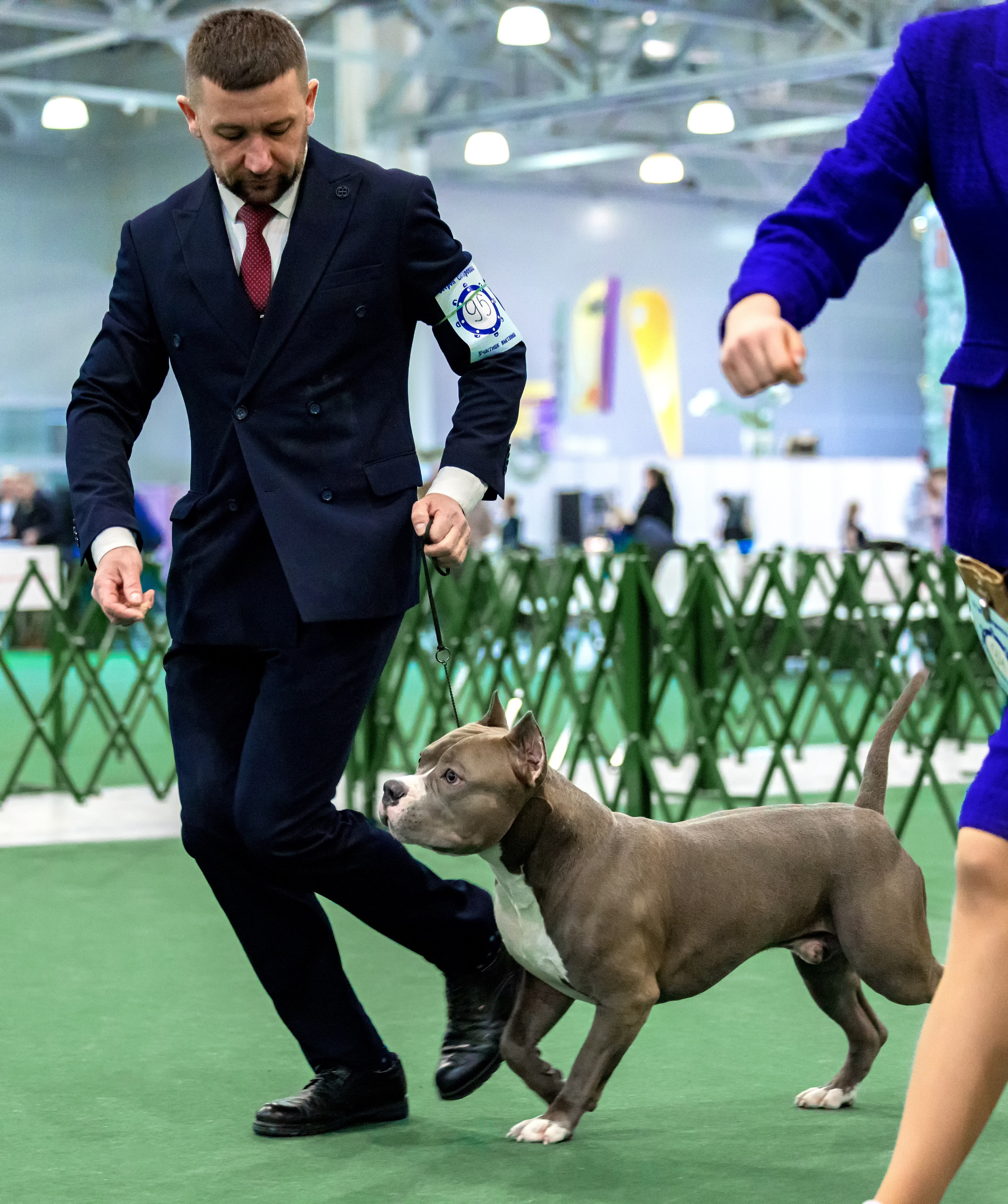 Крокус 3,9 и 10.12.2023. Фотограф-анималист Юлия Германика