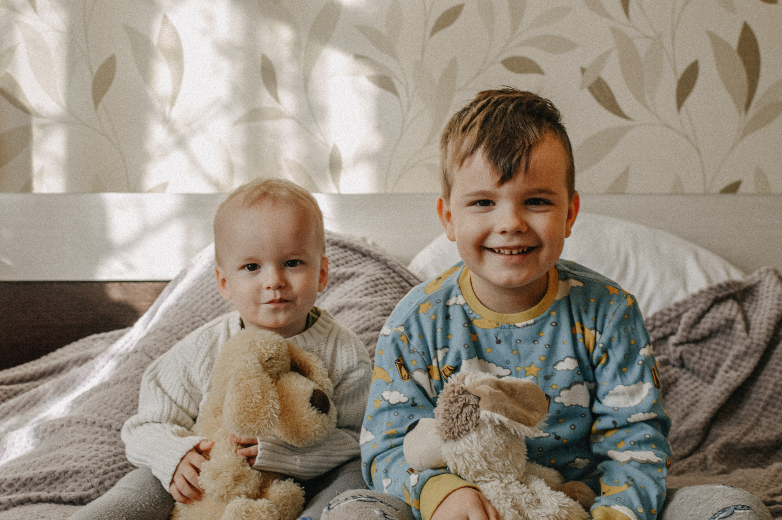 Домашняя история. Meryfotoidea