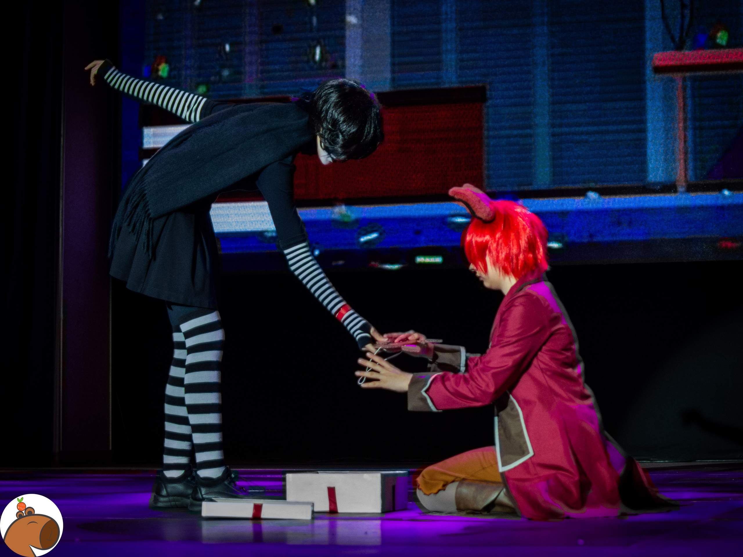 5 ночей с Капибарой. Уголок Капибарки