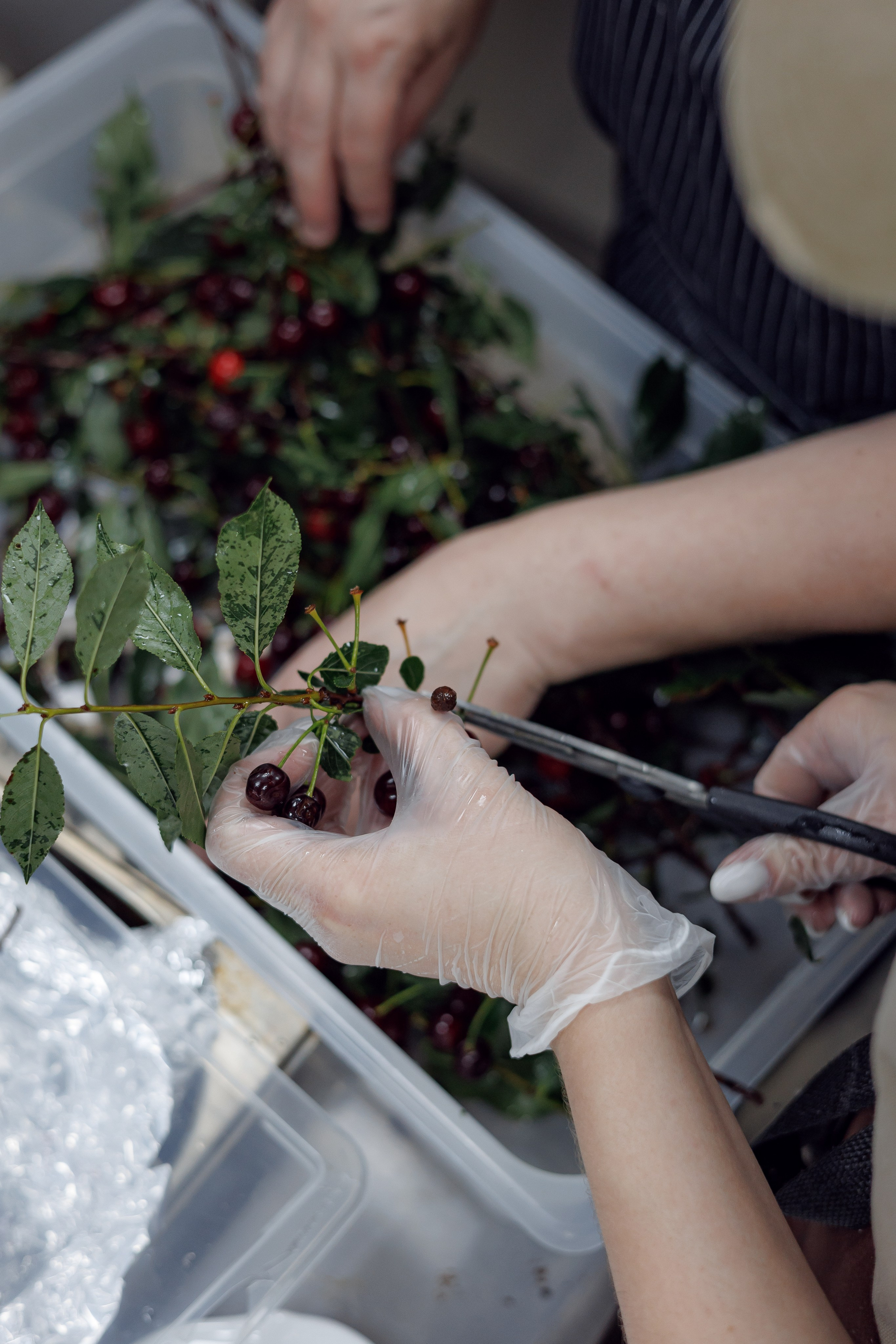 Гастроужин в ресторане Усадьба рябининых челябинск