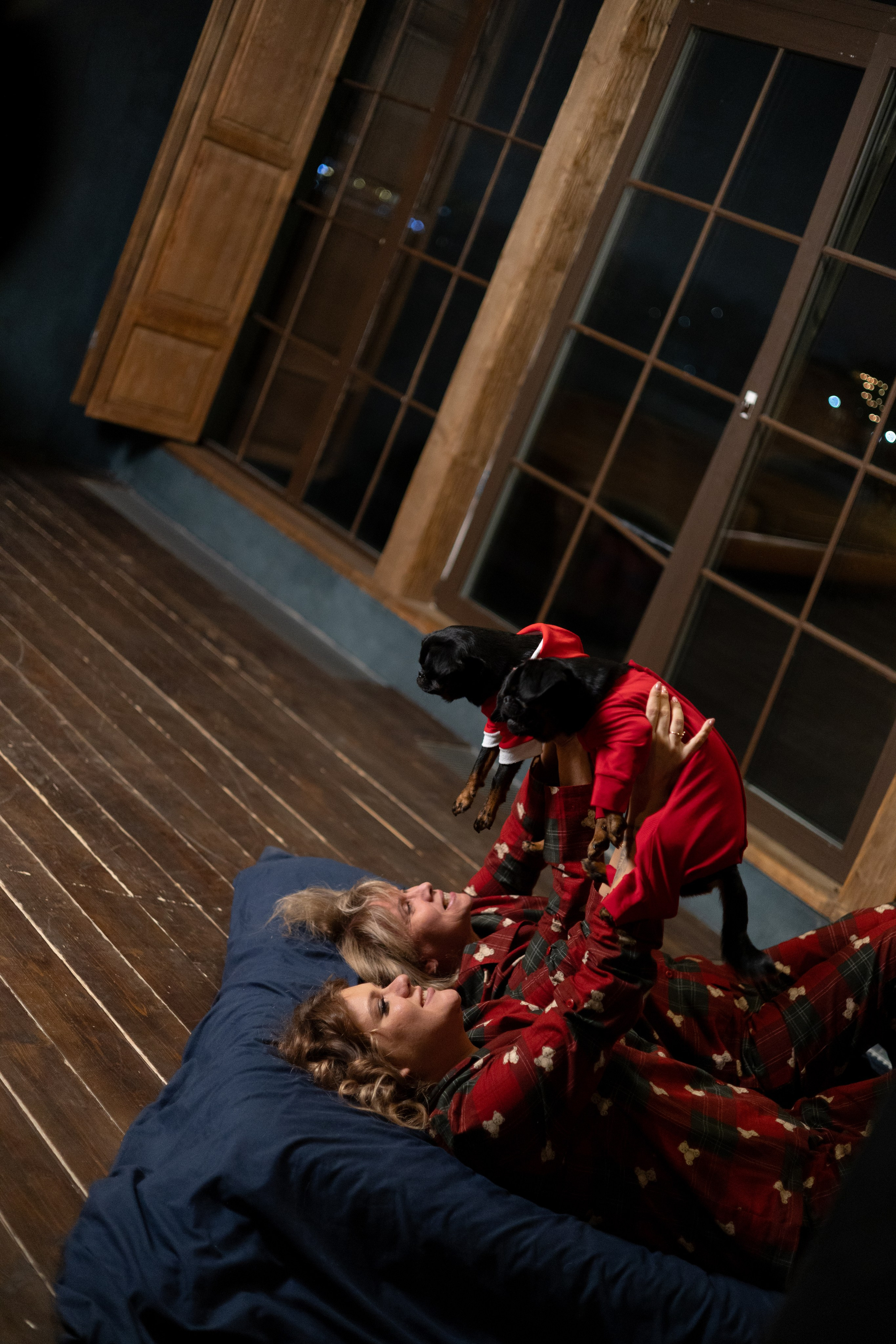 Новогодний фото день. Фотограф животных Евгения Верцинская