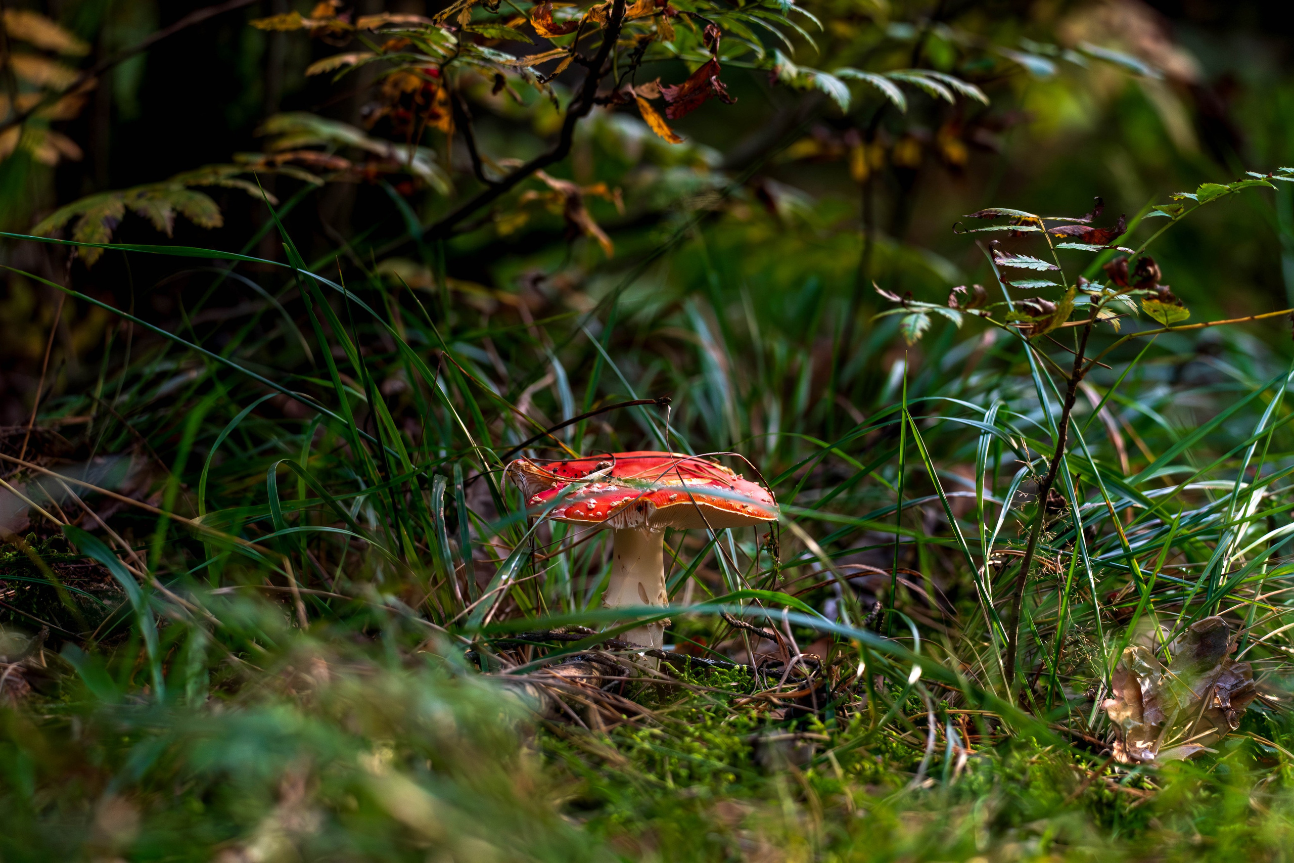 Стрит‑фото: жизнь города в кадре — реальные моменты. FM Media Сrew. Репортажные фото и видео