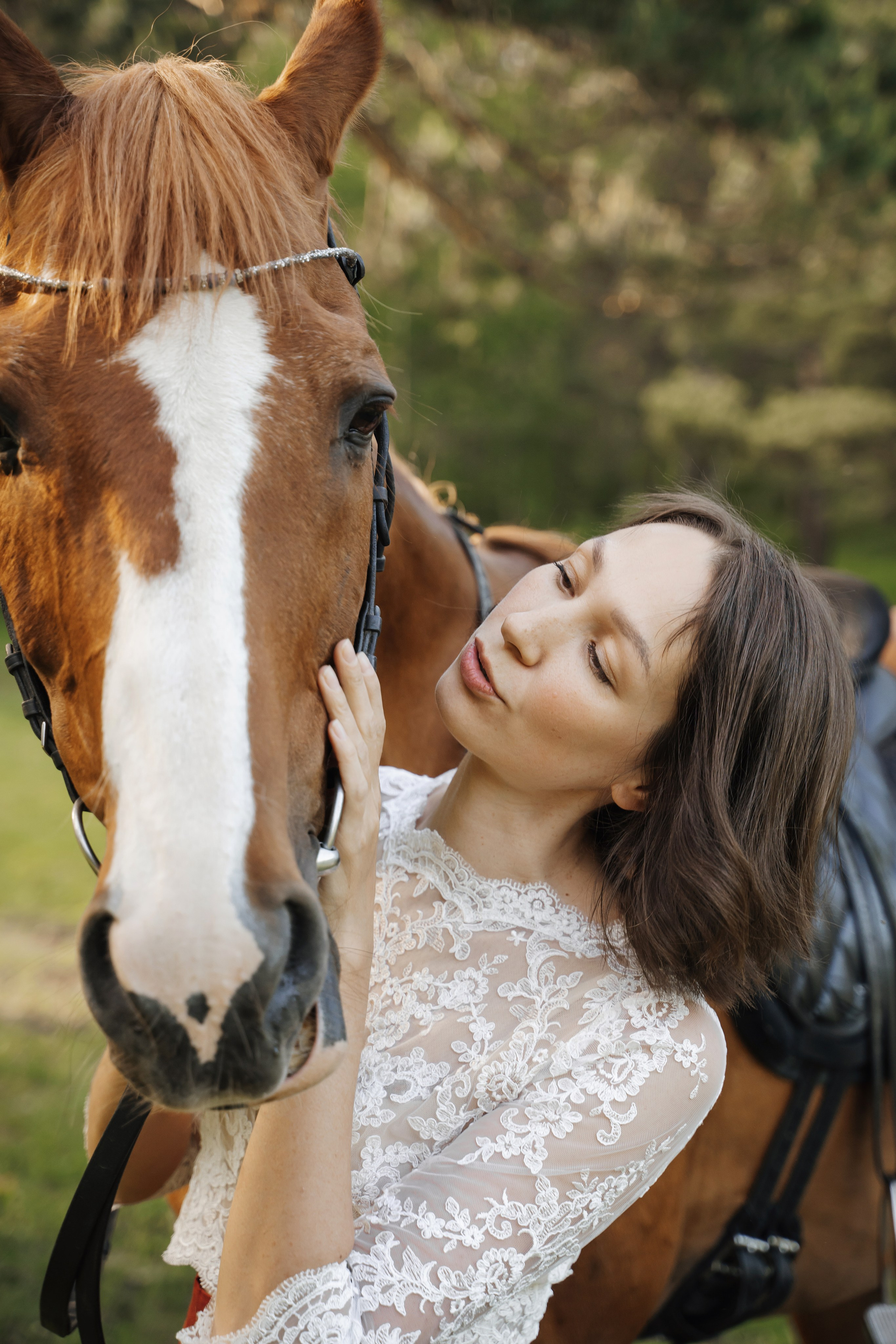 Семейная история с лошадьми. Главная