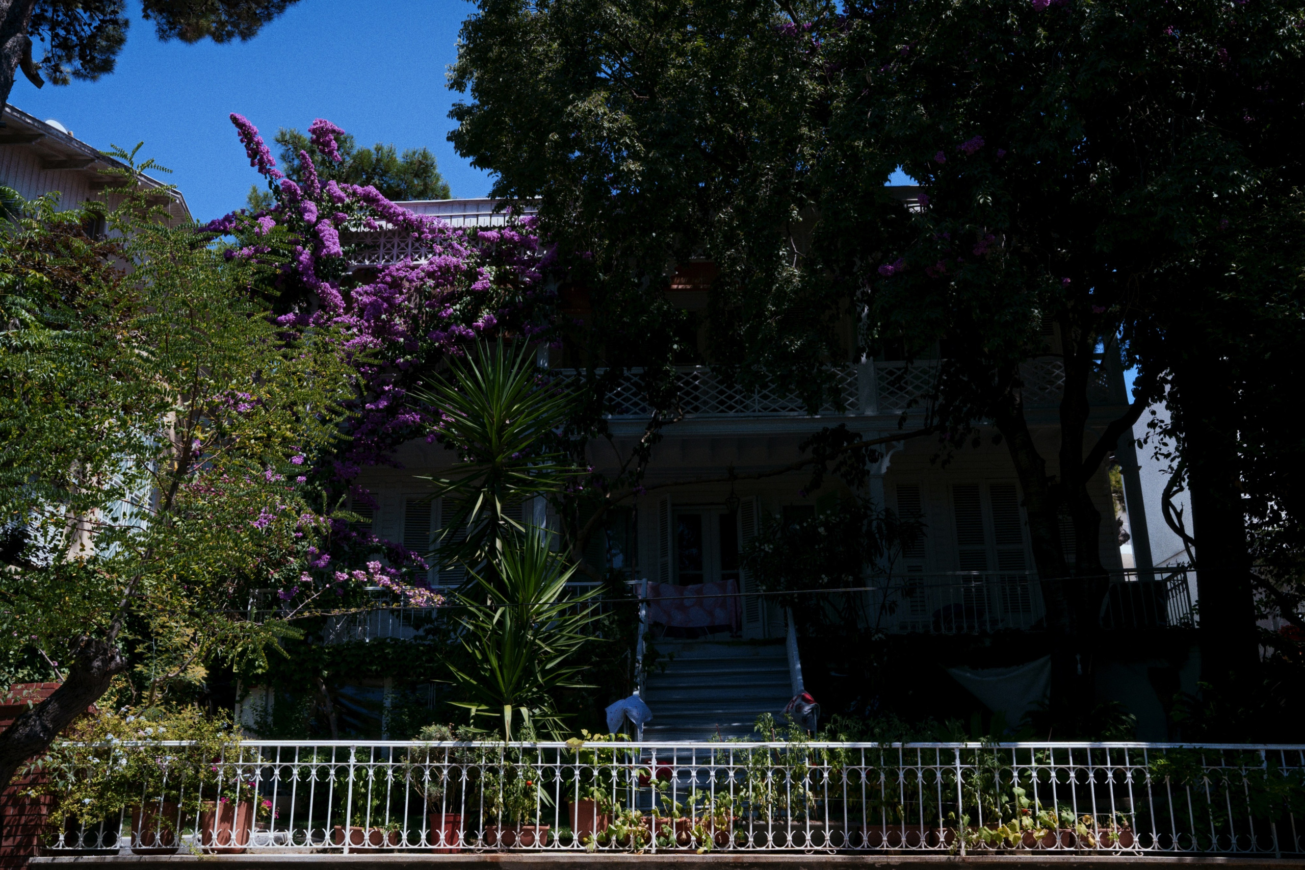 Büyükada х Heybeliada, Istanbul / Türkey SS25. Фотограф Юрин Евгений