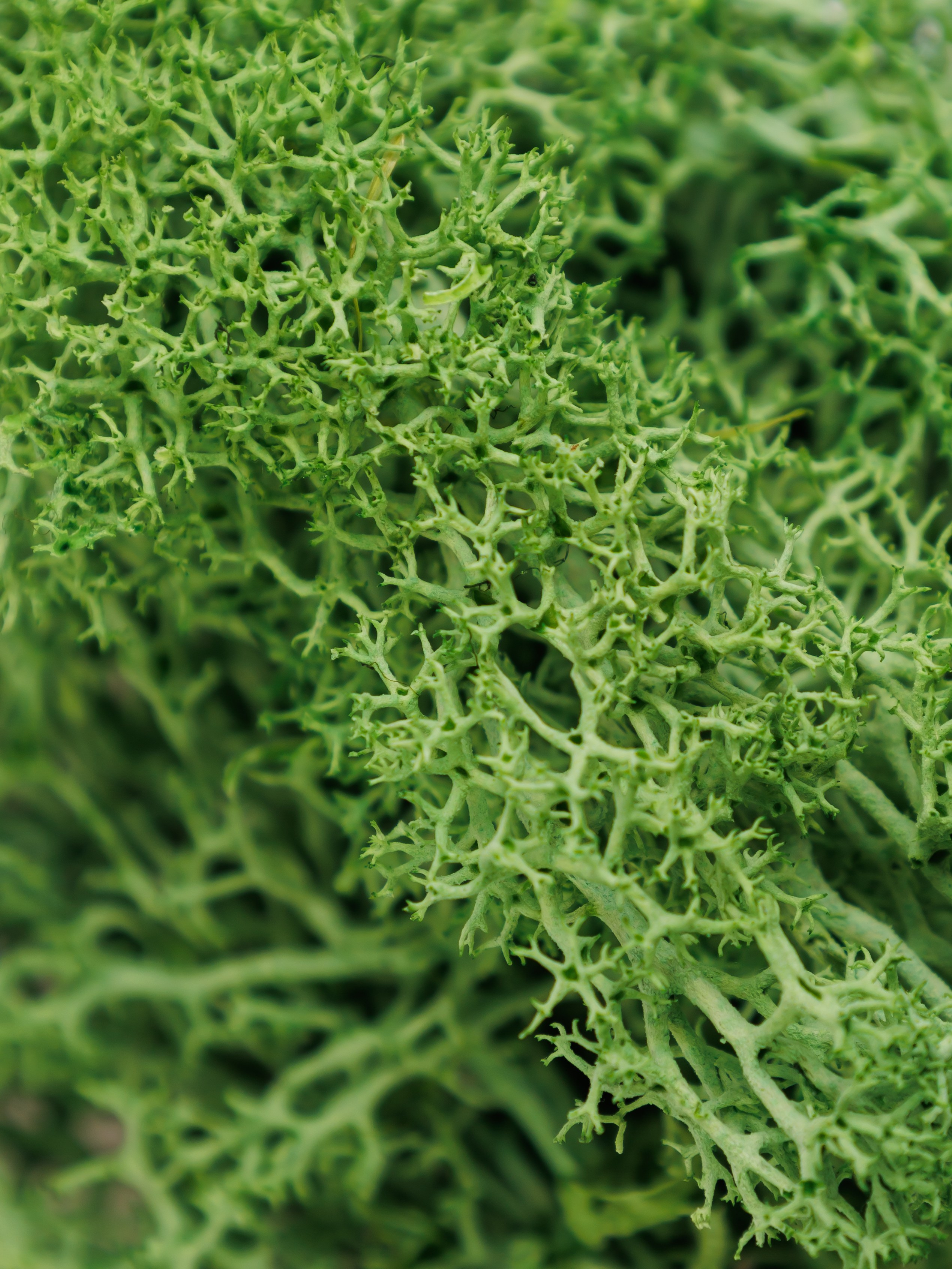 Предметная съемка в интерьере. Главная