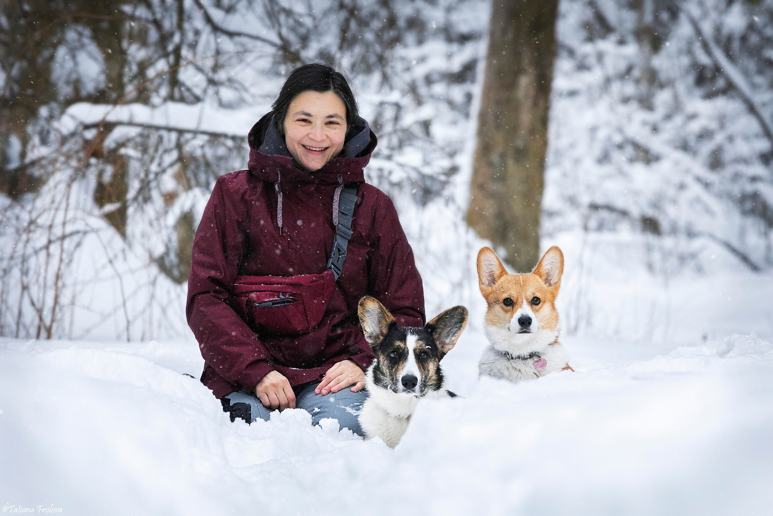 Фотосессия с собаками в зимнем лесу в Пушкино. Фотограф-анималист в Москве и Московской области Татьяна Фролова