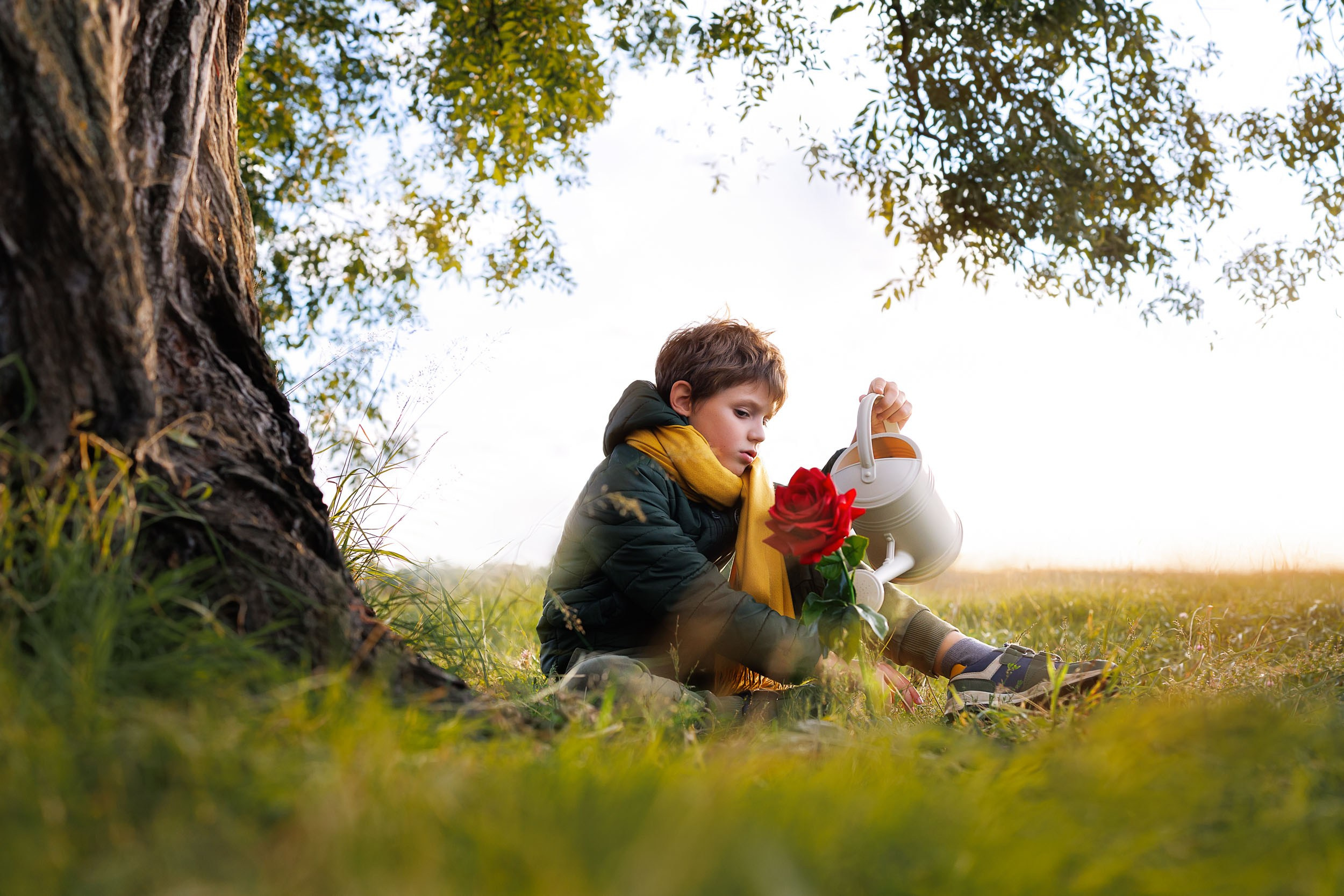 Фотосессия Маленький Принц. Фотограф-анималист в Москве и Московской области Татьяна Фролова