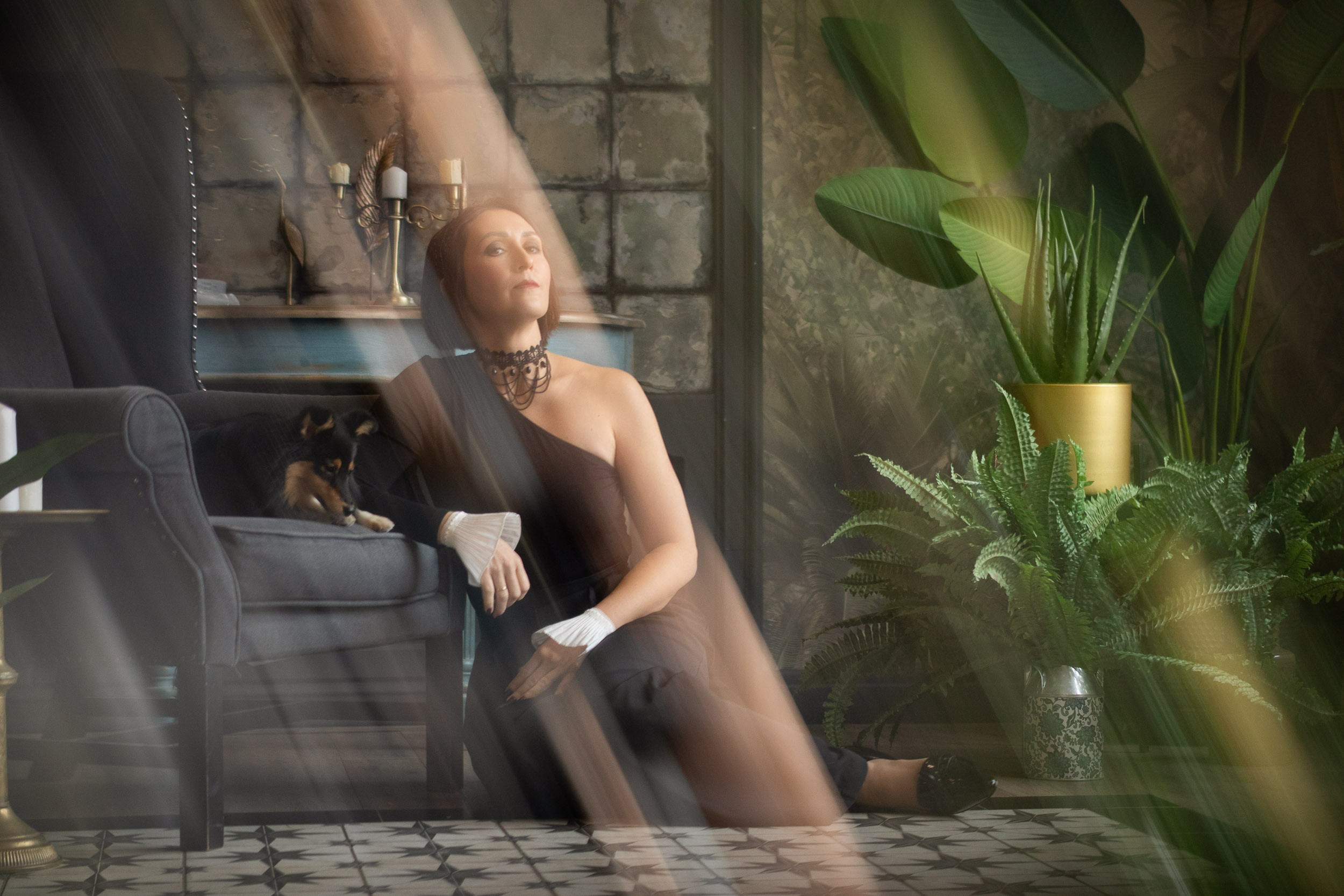 Съемка с собакой в студии Москва. Фотограф-анималист в Москве и Московской области Татьяна Фролова