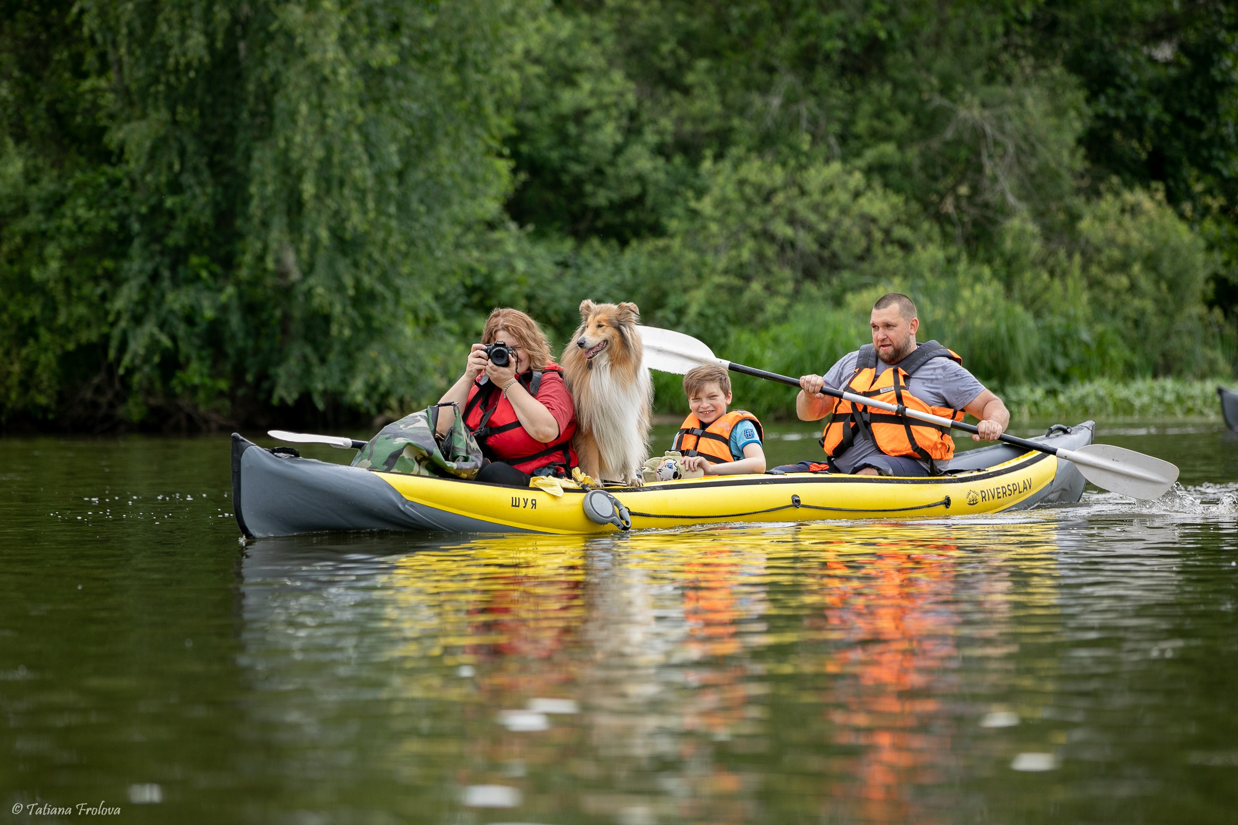 Фотоочет о сплаве на байдарках вместе с собаками. Фотограф-анималист в Москве и Московской области Татьяна Фролова