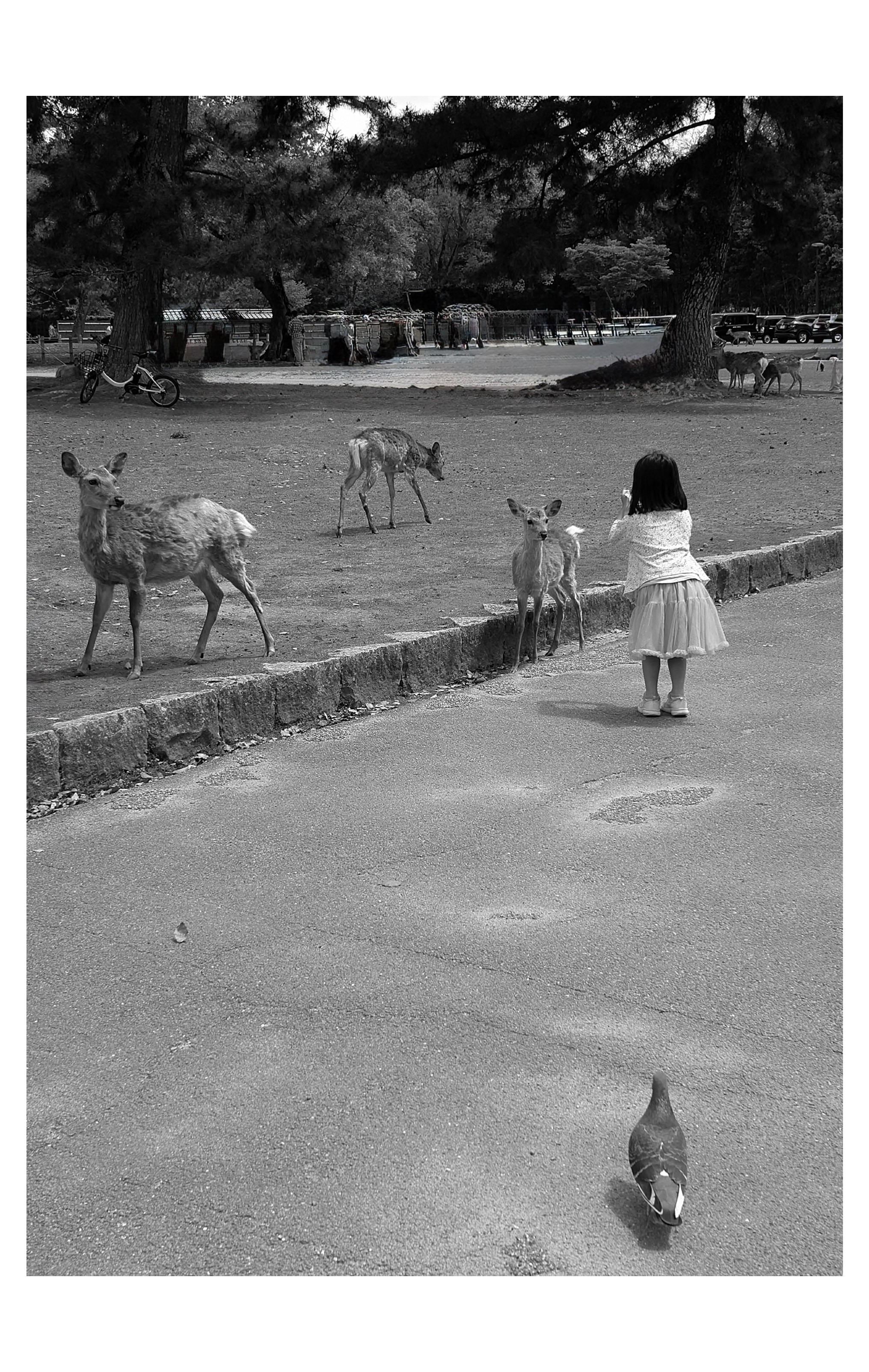 Япония. Фотографии Руслана Сайдалиева (Рус Сай)