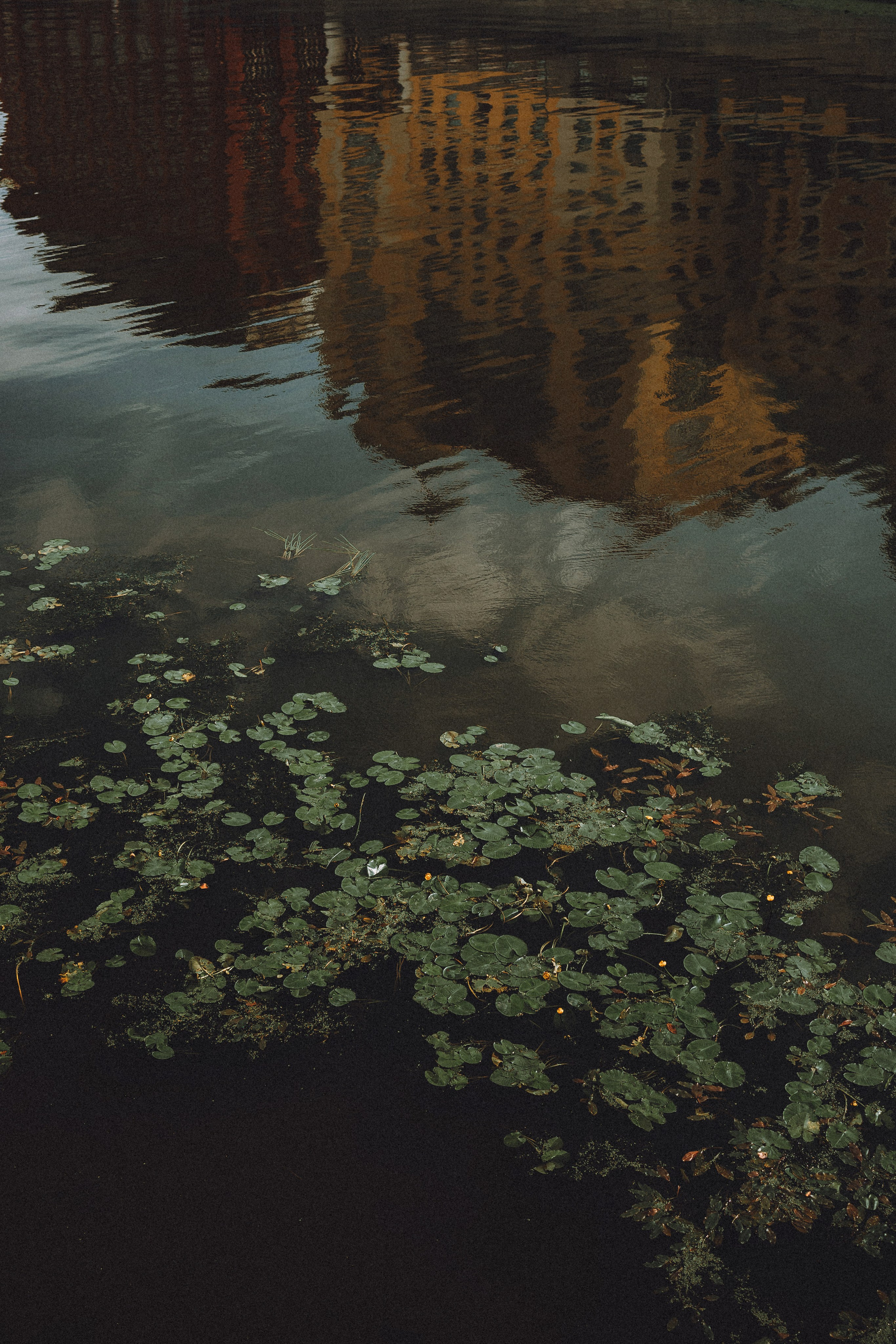 Один и его семья