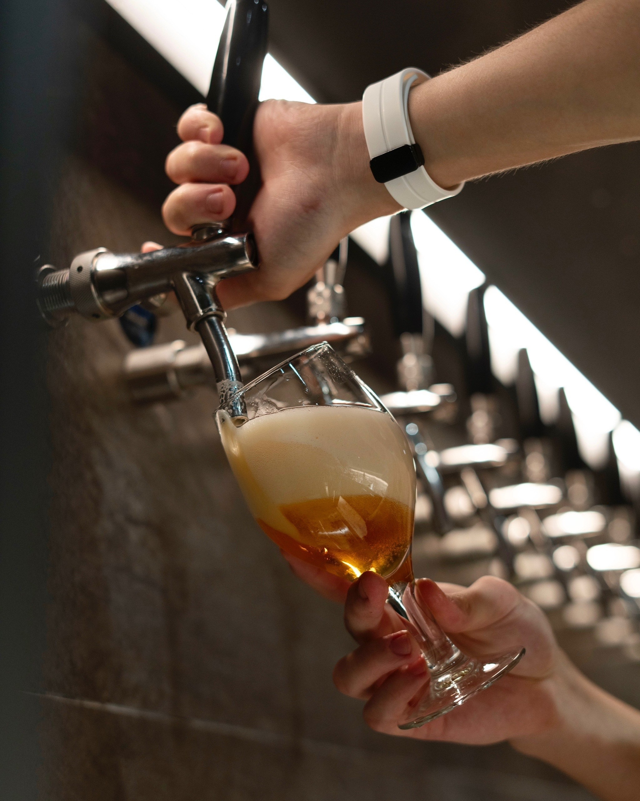 Wooden Gastro. Фотограф Александра Волкова | Волгоград