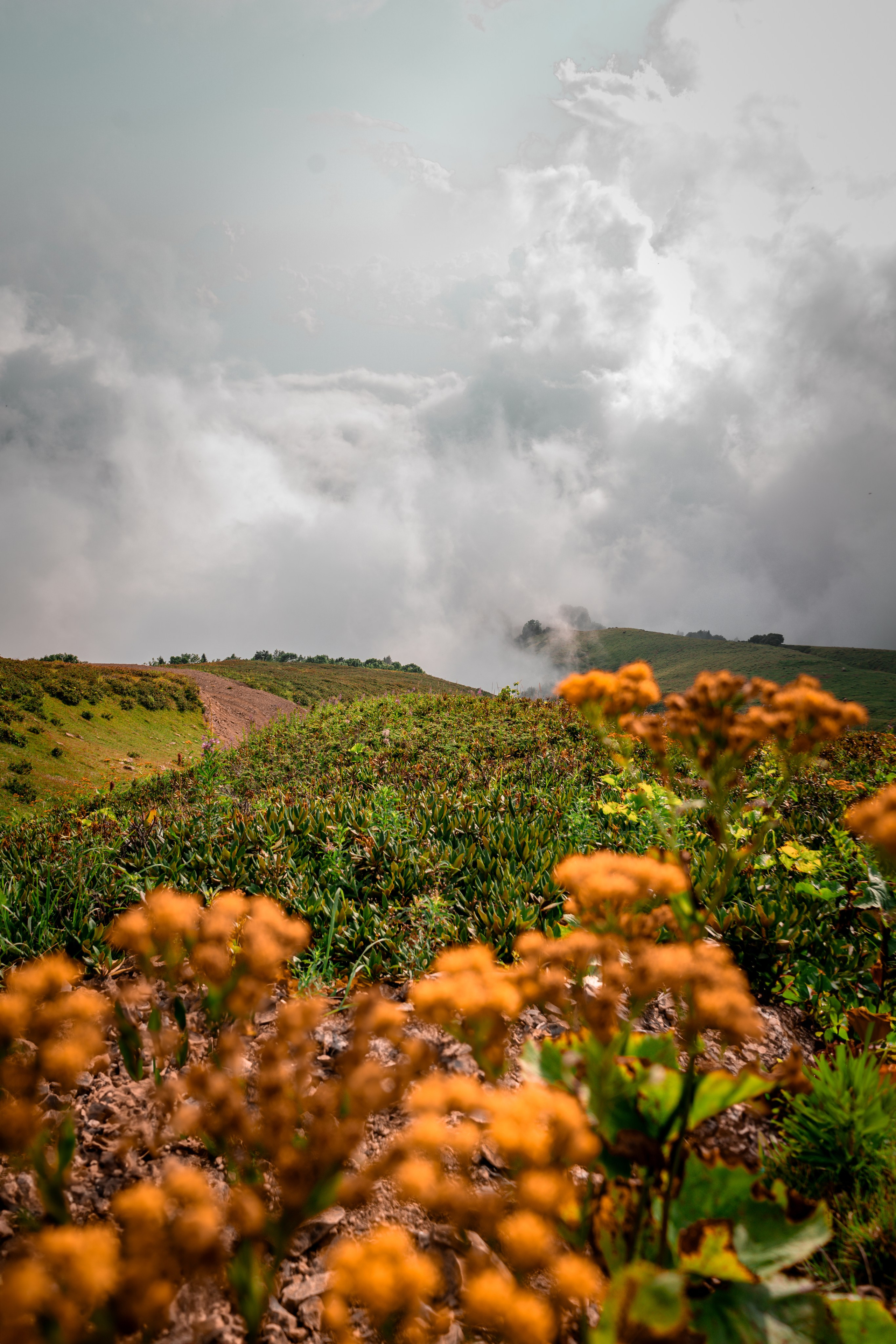 Сочи. Фотограф Александра Волкова | Волгоград