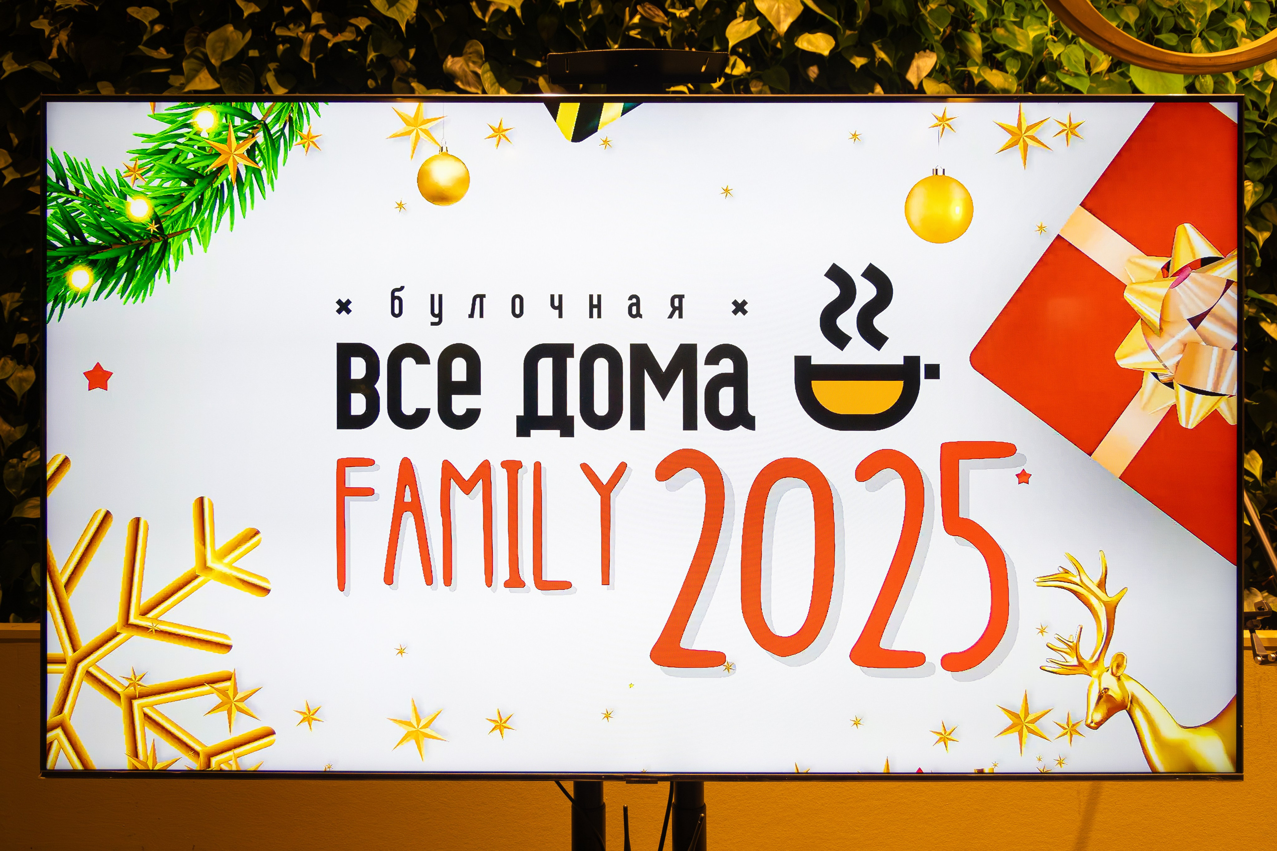 Все дома. Евгений Матвеев — фотограф в Санкт-Петербурге