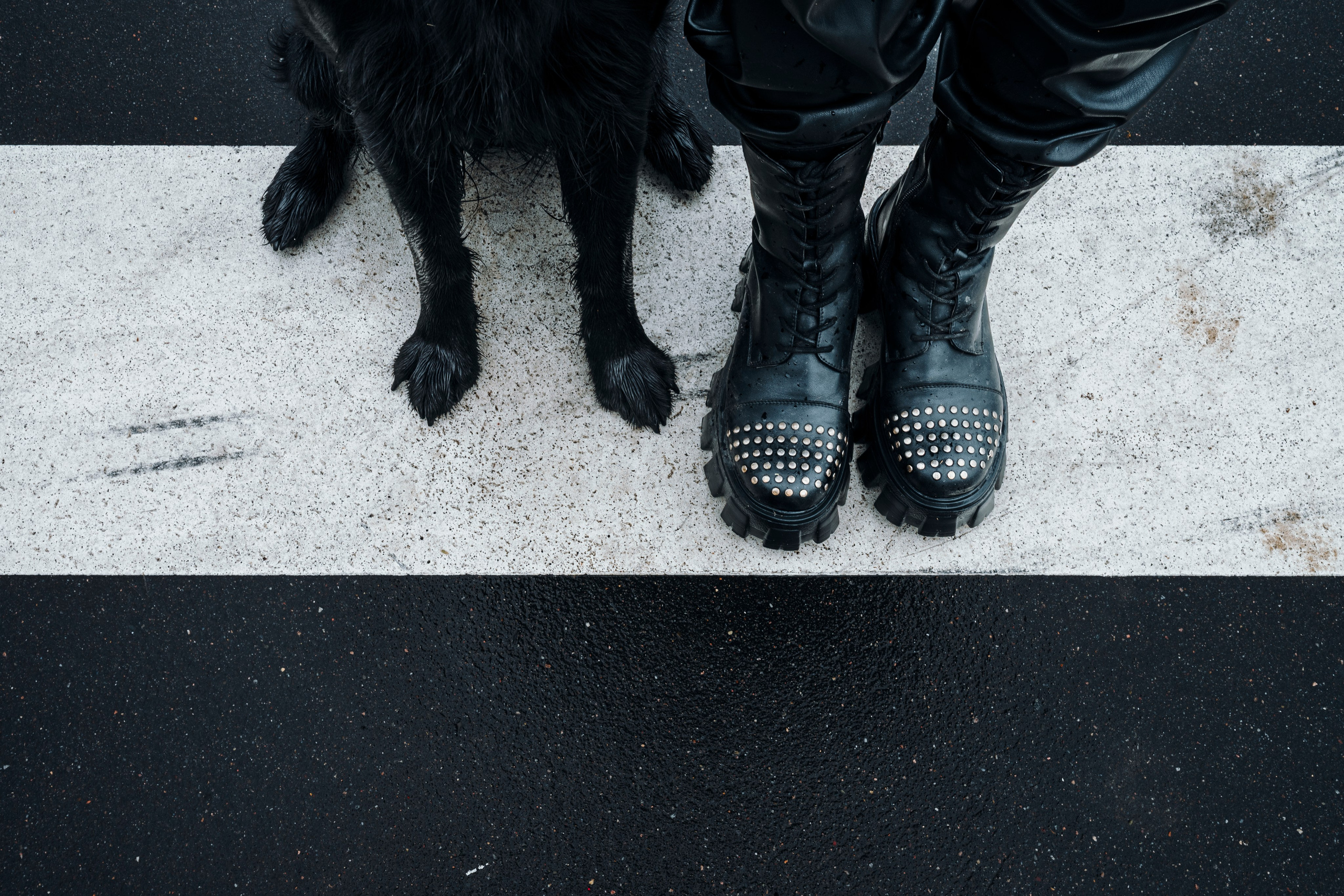 Настя и Демида. Семейный фотограф анималист Ананьева Мария — Москва