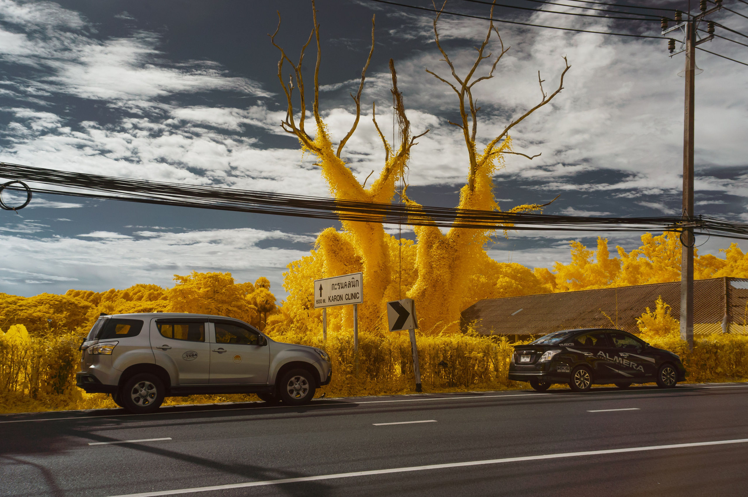 Инфракрасная фотография. Портретный, репортажный и свадебный фотограф в Екатеринбурге Денис Южаков