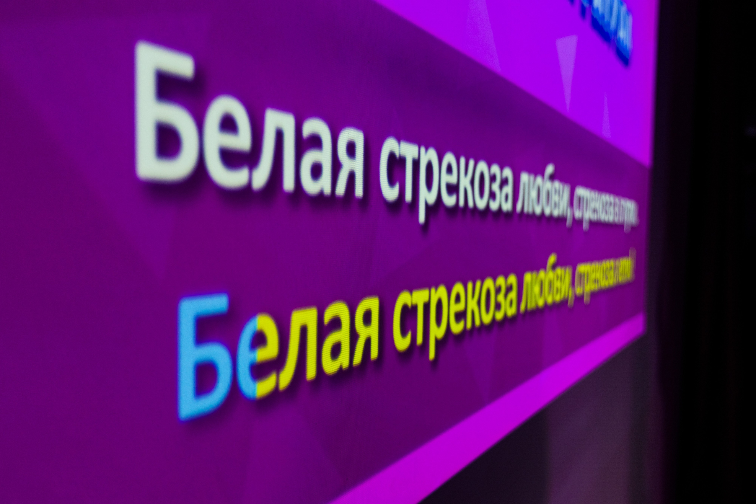 Корпоративная фотосъемка для кафе GARAGE | Новый год 2025 | Минск. Свадебный фотограф в Минске/Беларуси Сергей Спиридонов