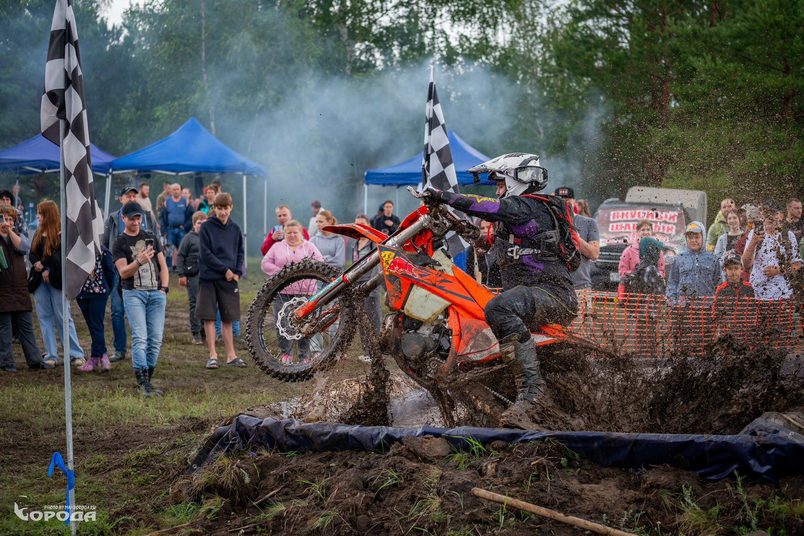 Дубрава 2025. Фотограф | Макс Борода