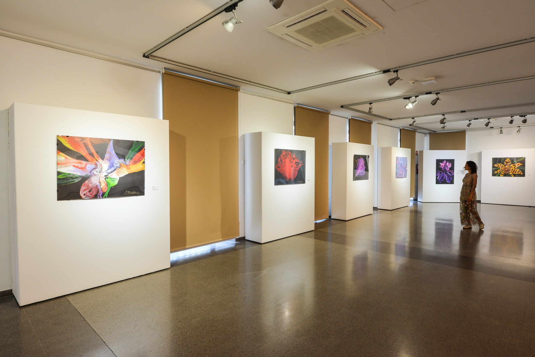 Abstract Art Exhibition. Photographer Aleksandr Rybintsev