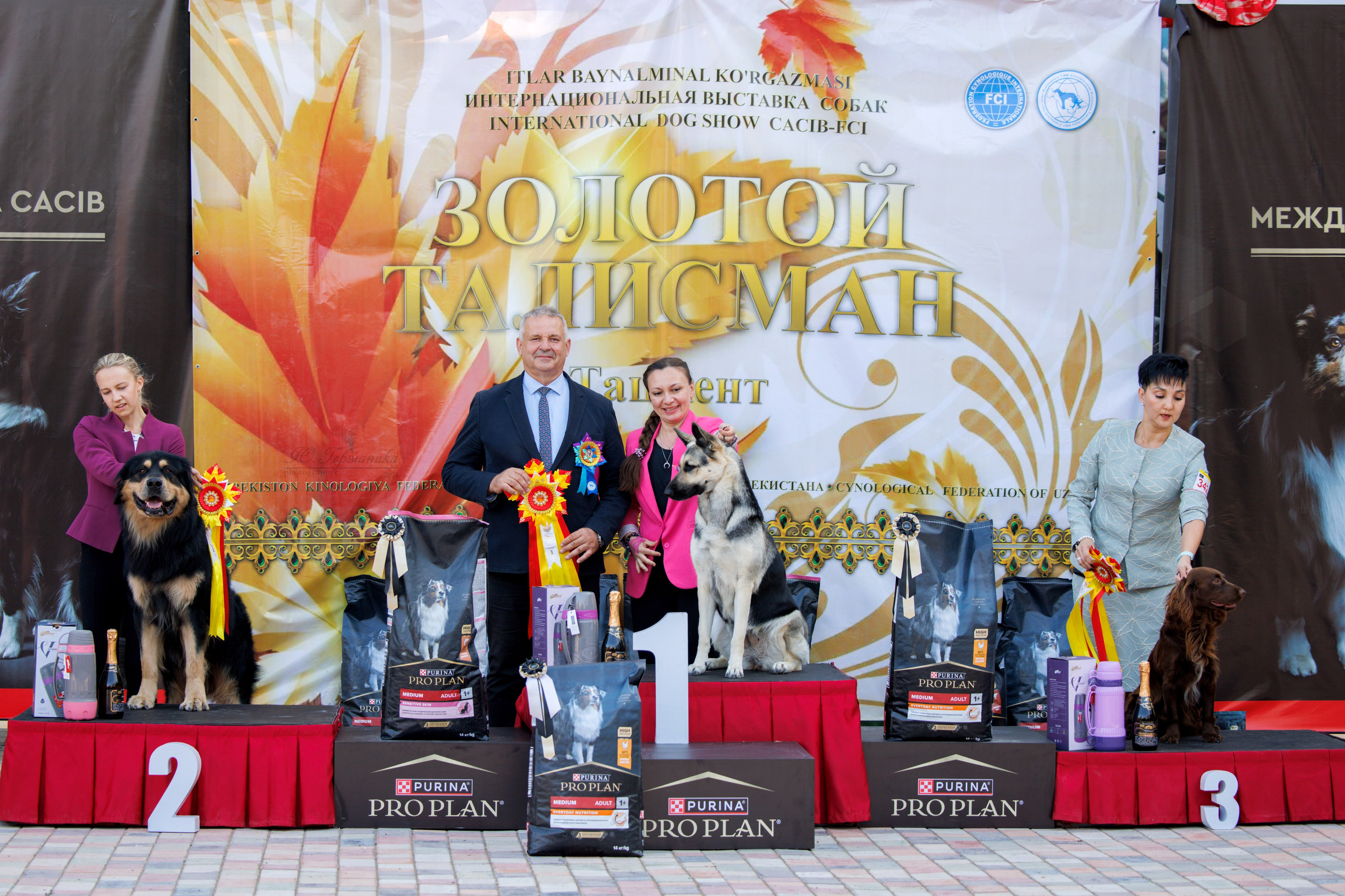 Ташкент 3хCACIB 3-5.10.2025. Фотограф-анималист Юлия Германика