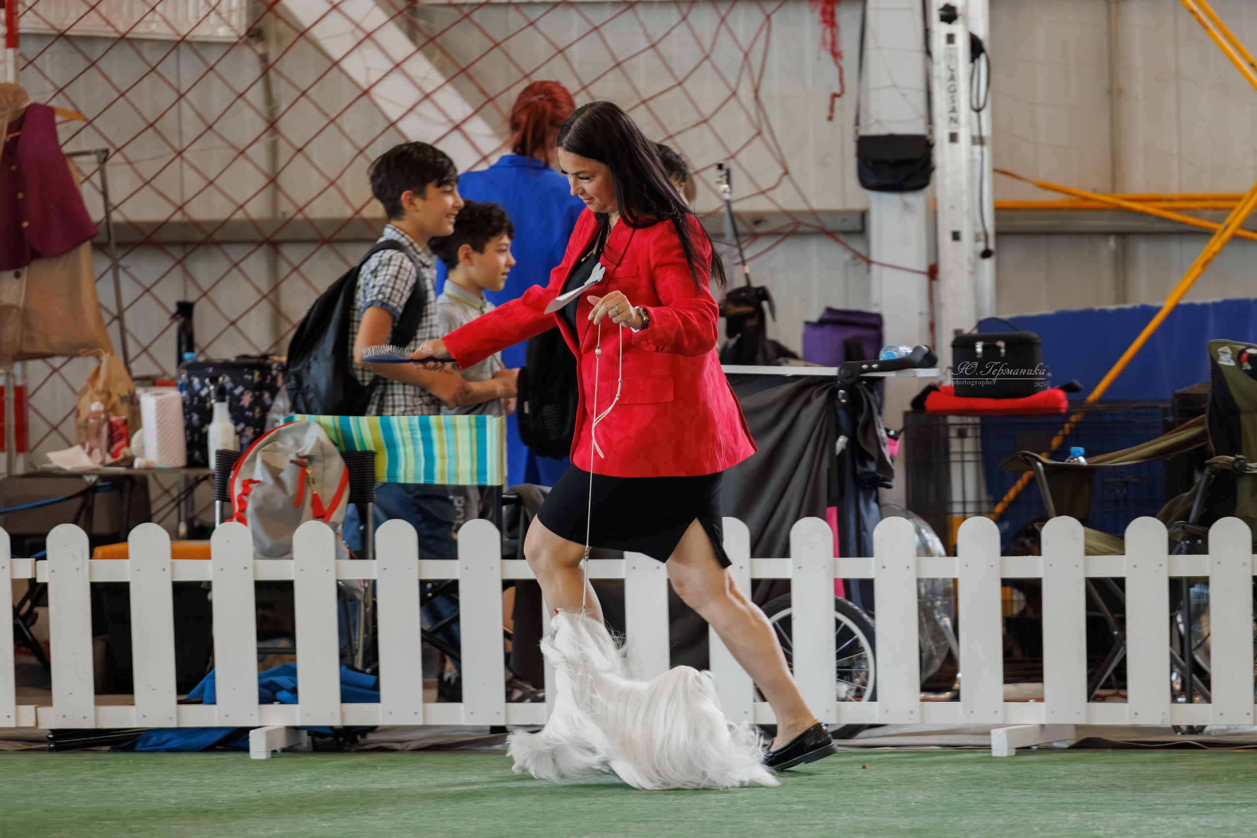 Батуми 3хCACIB 27-29.06.2025. Фотограф-анималист Юлия Германика