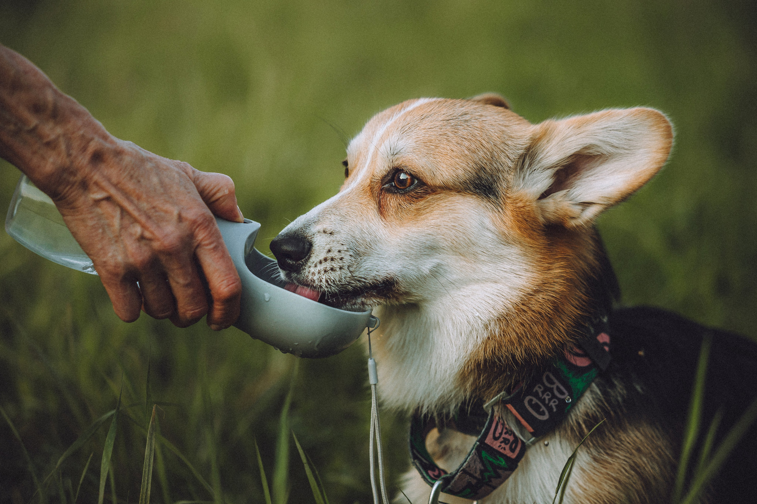 Илай, Зайка и их семья