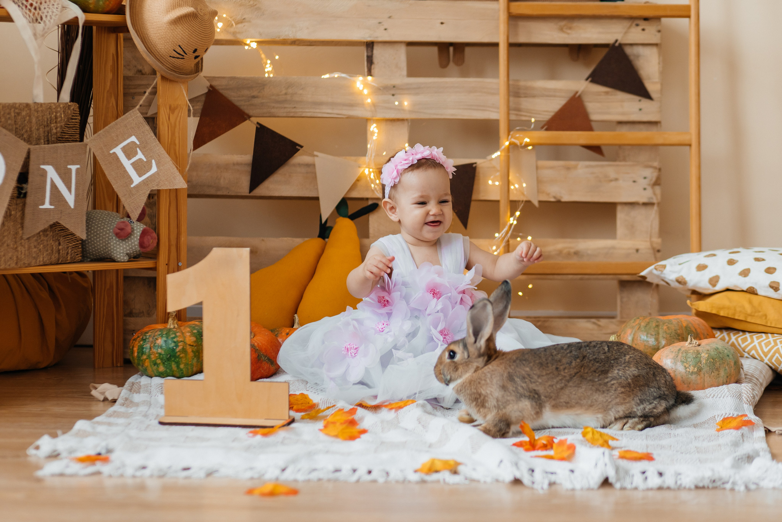 Краски осени. Фотограф в Омске