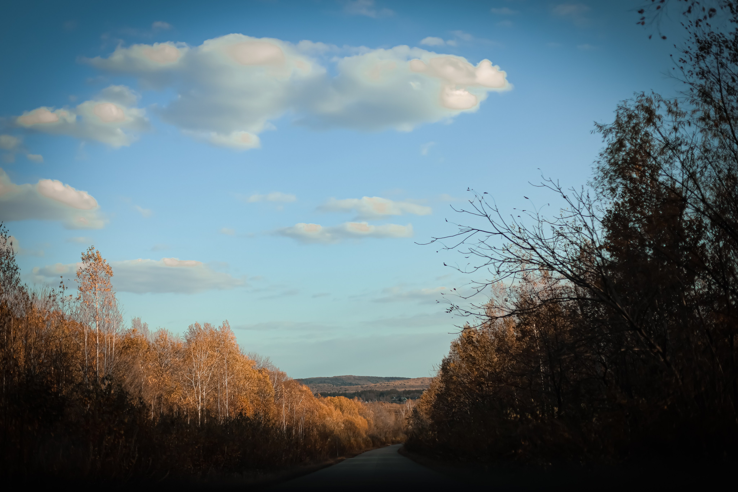 Елены и Антона. Фотограф г. Хабаровск. Семейные и индивидуальные съёмки