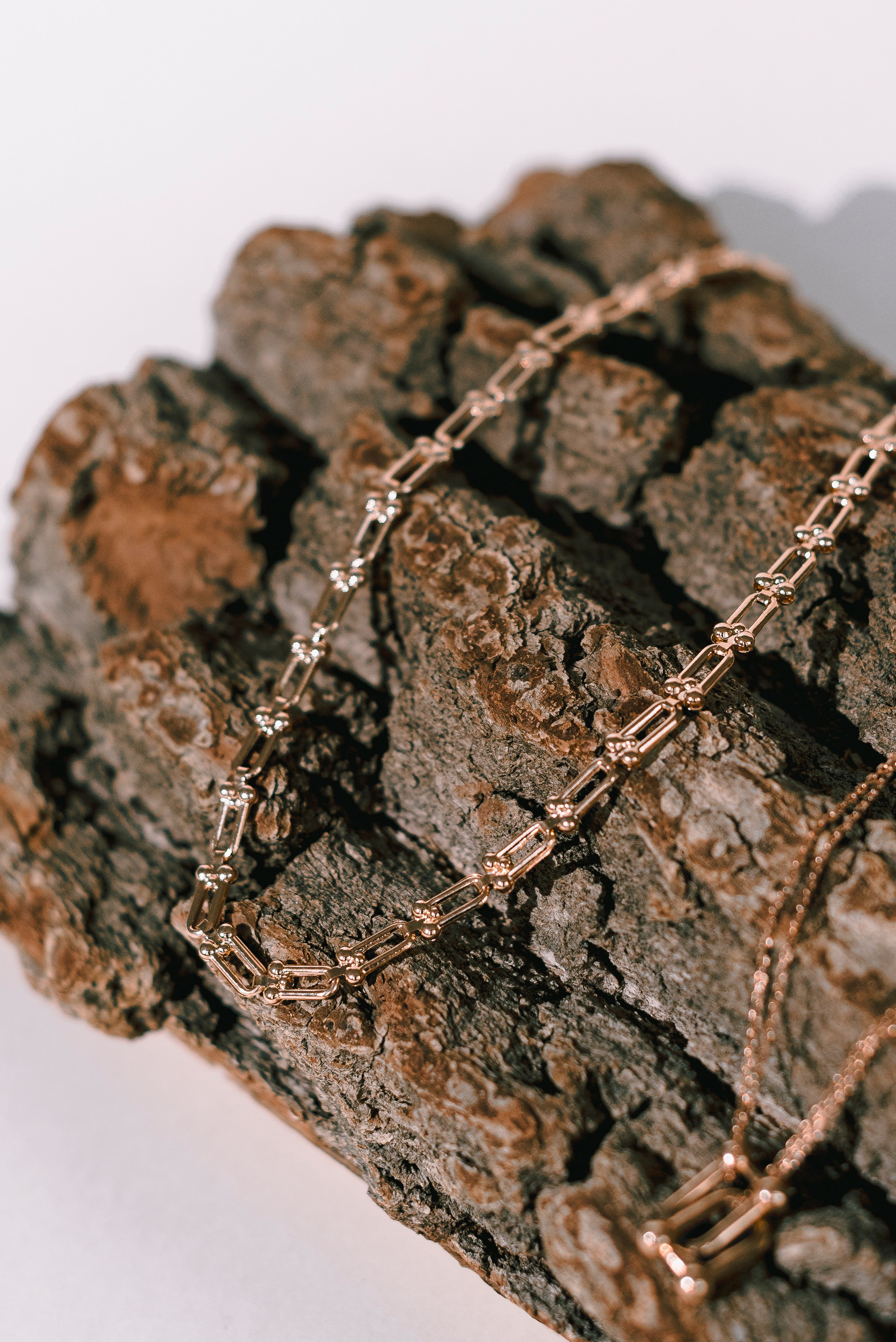 золотая цепь на коре