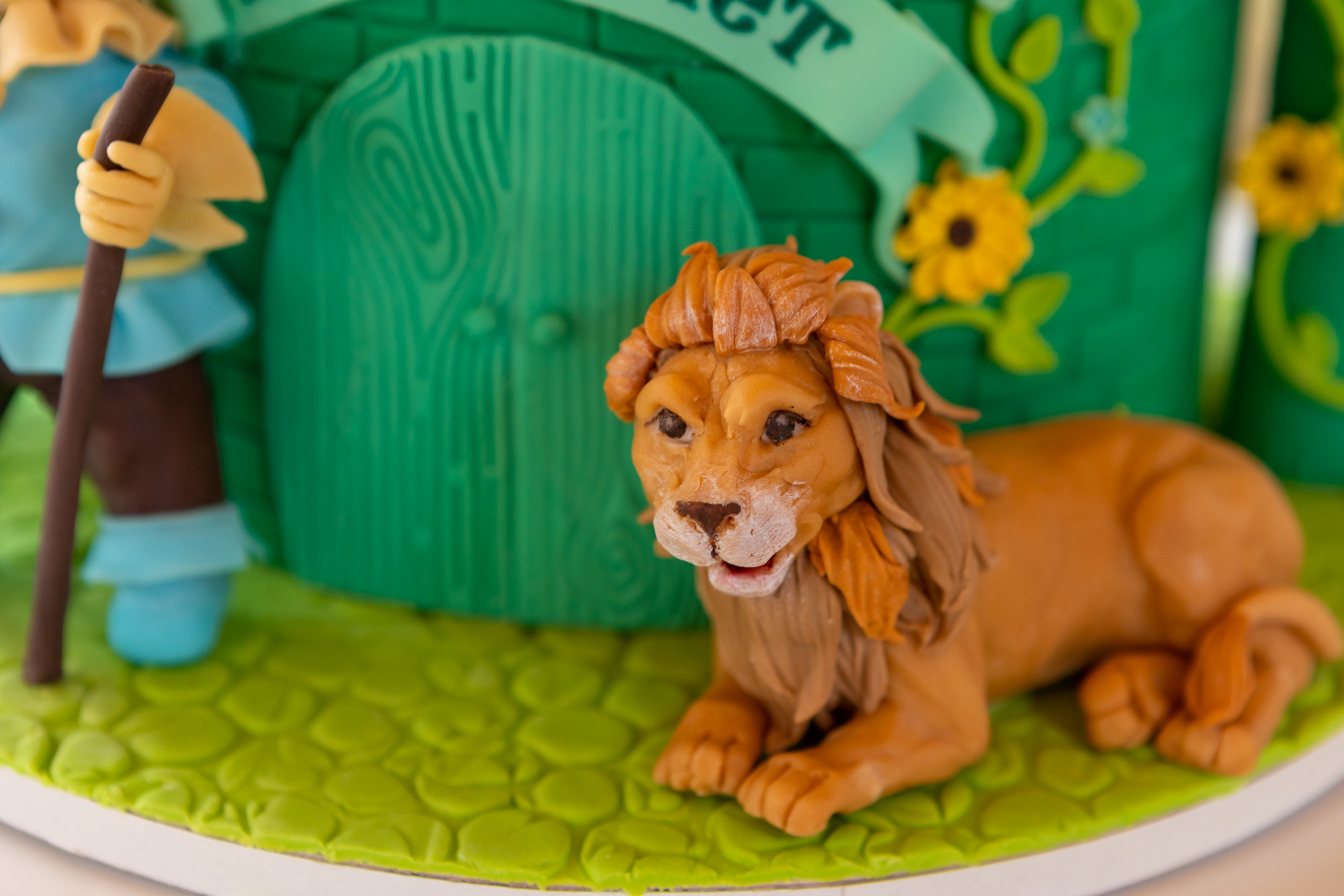 День Рождения Егора. Фотограф в Оренбурге. Профессиональный фотограф