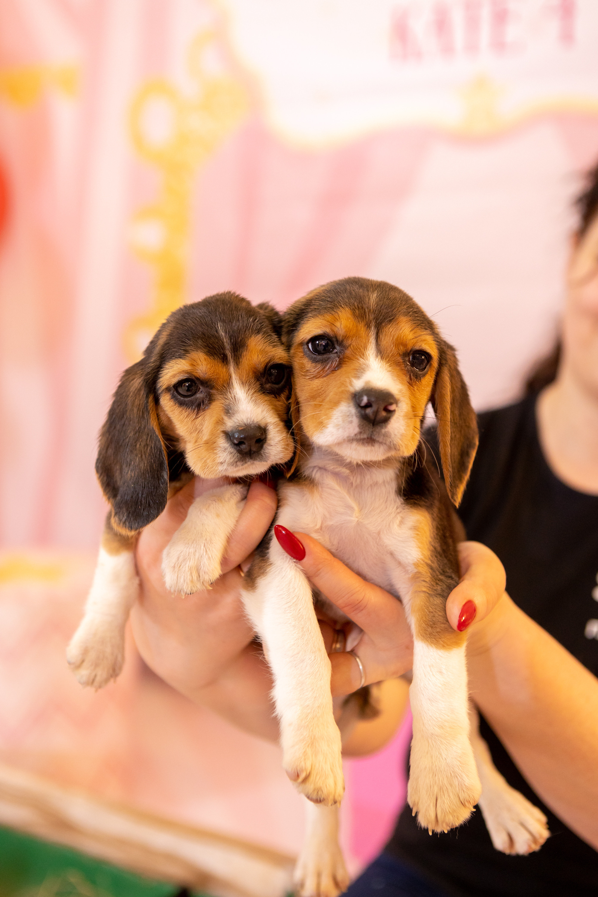 День Рождения Катюши. Фотограф в Оренбурге. Профессиональный фотограф