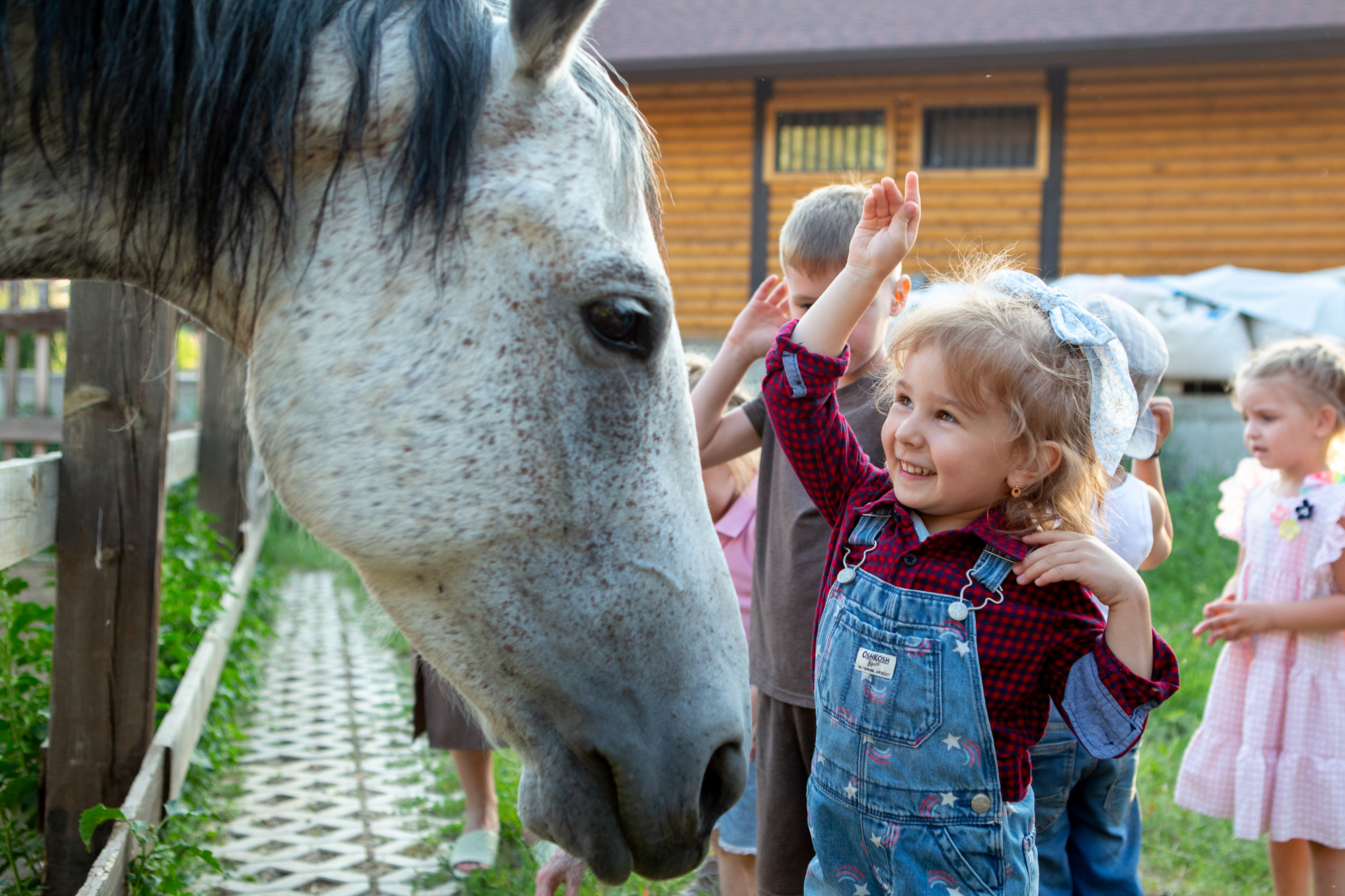 День Рождения Беллы в клубе Воздух. Фотограф в Оренбурге. Профессиональный фотограф