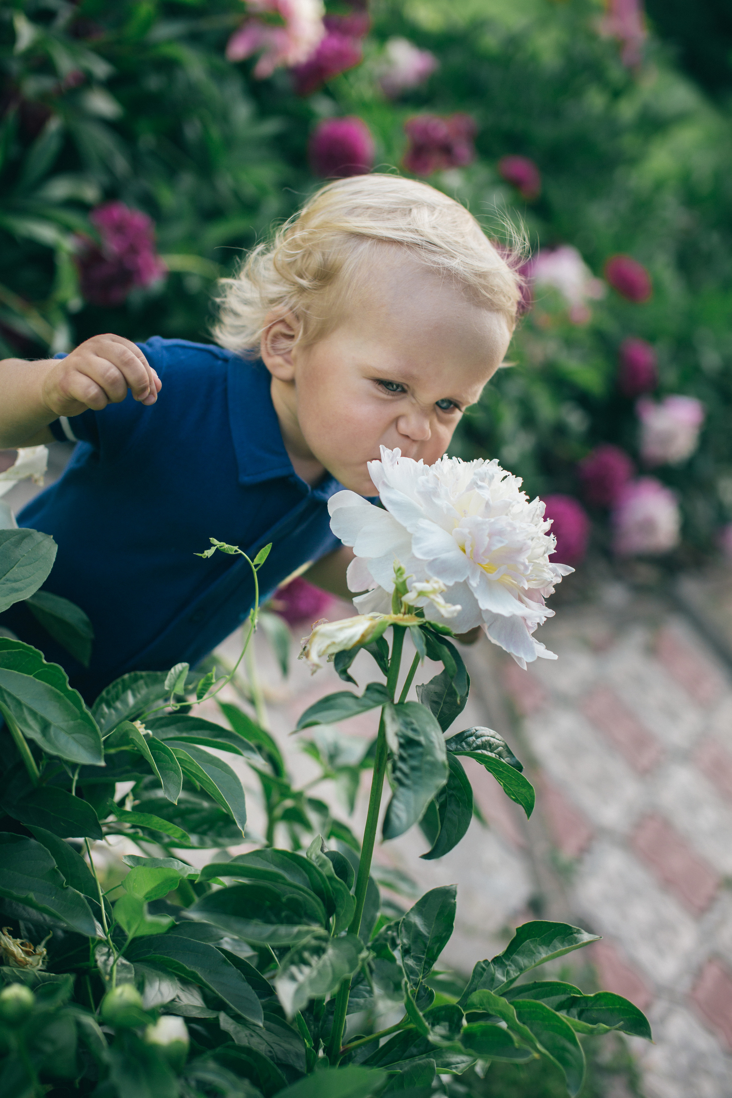 Семейная фотосессия в пионах. Фотограф в Оренбурге. Профессиональный фотограф