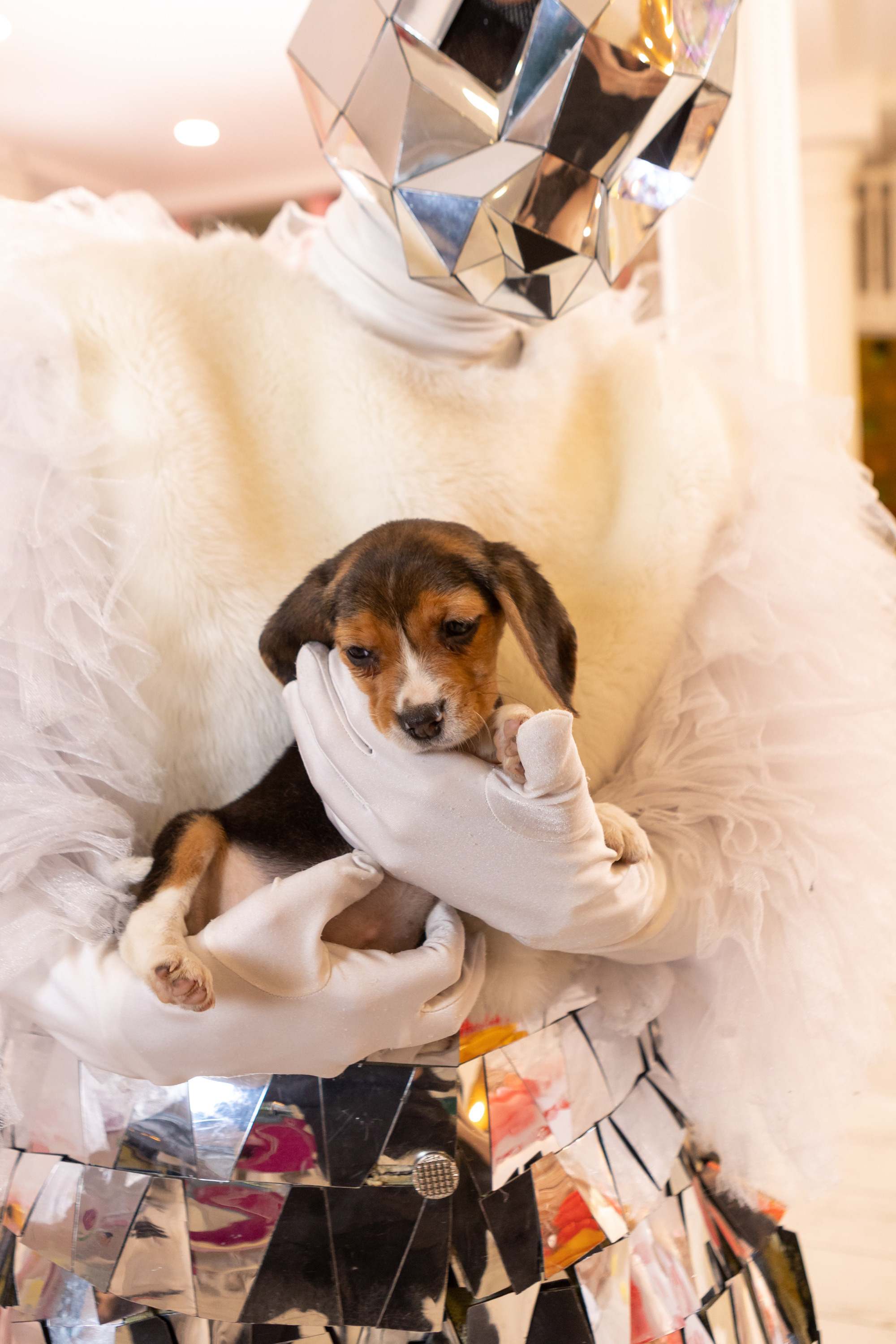 День Рождения Катюши. Фотограф в Оренбурге. Профессиональный фотограф