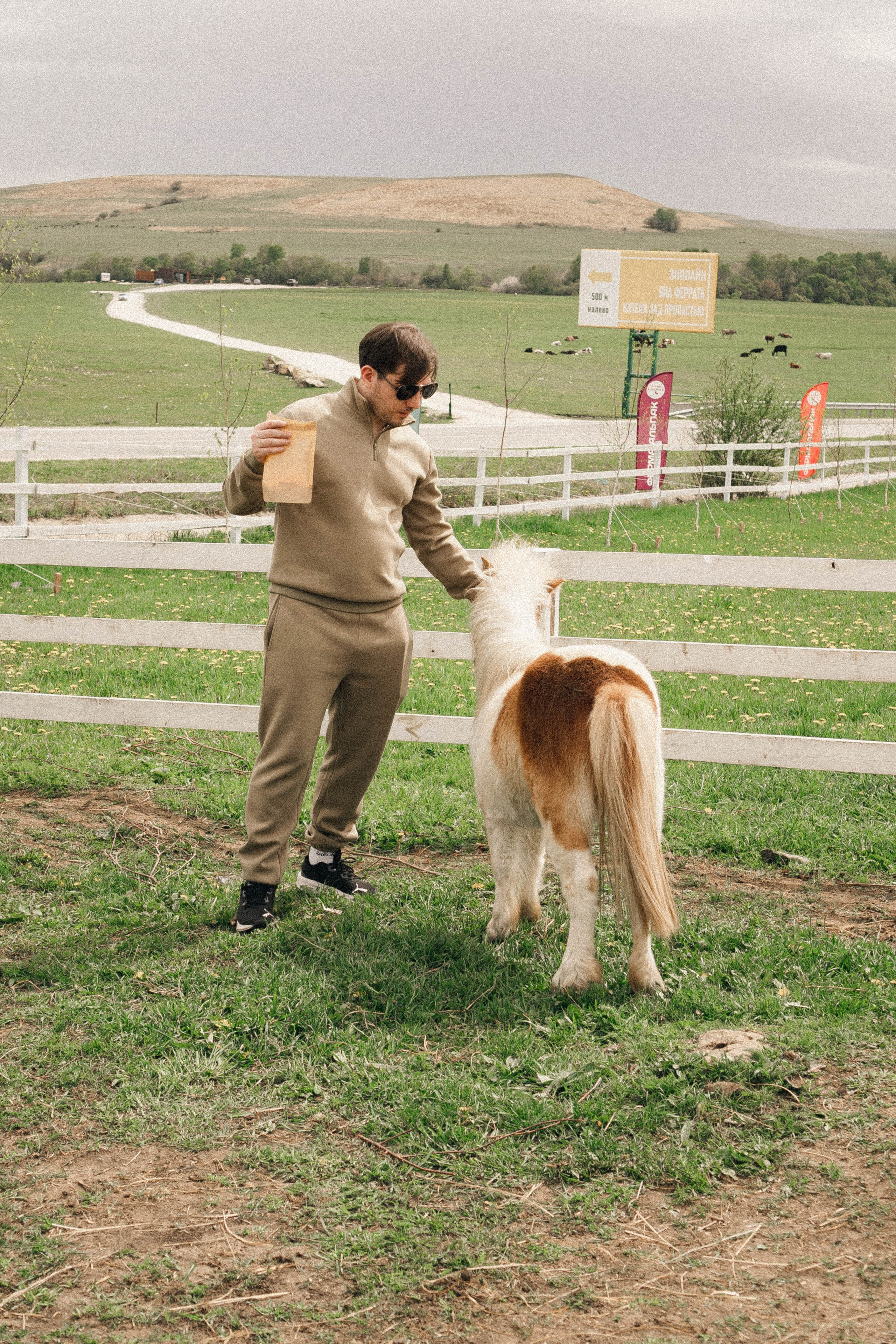Ферма Альпак. Профессиональный фотограф, Санкт-Петербург — Виктория Богомолова