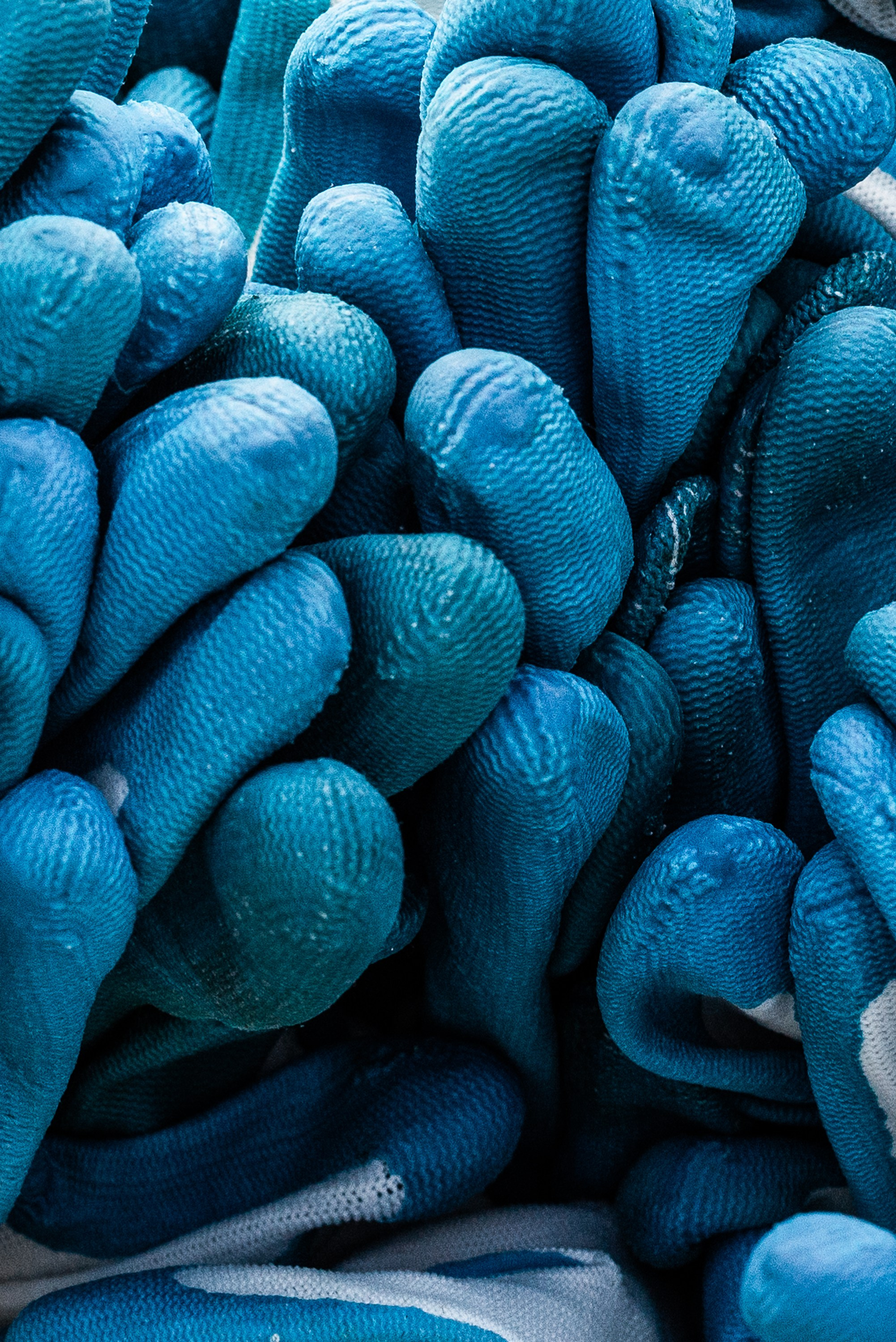 Эко мероприятия. Ивент-фотограф Санкт-Петербург/Event photographer based in St.Petersburg, Russia