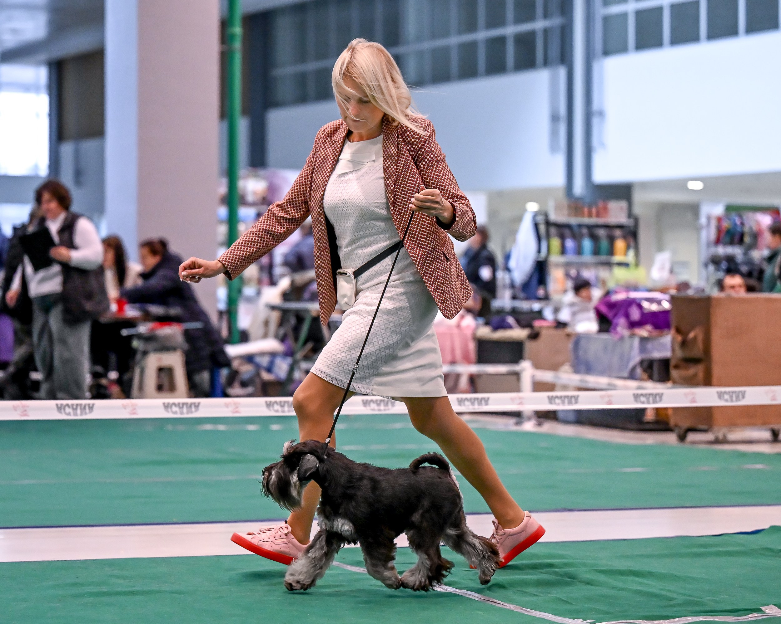 Delinso Balance Chivas Regal (Li Mu Zi Chinese Dragon x Delinso Balance Onyrico Tahoe)