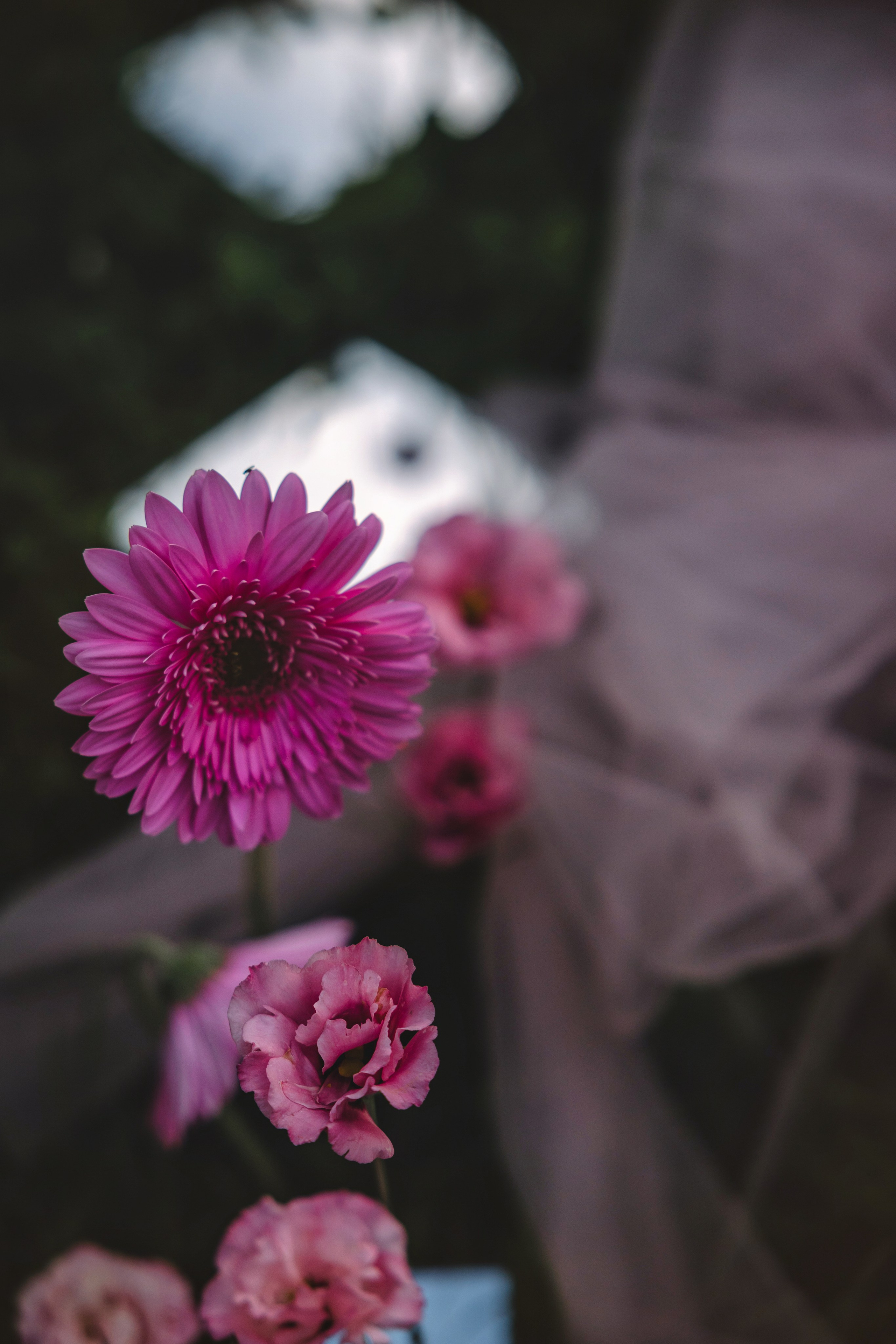 Саша & Тимофей. Свадебный, семейный и индивидуальный фотограф в Зеленограде и Москве Ирина Костенко